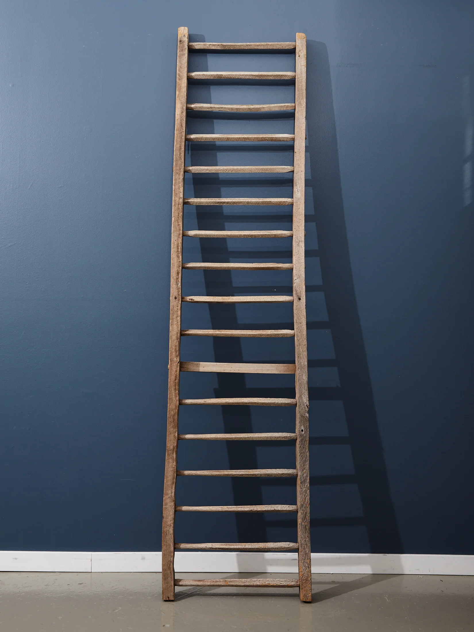 Large rustic ladder - $100