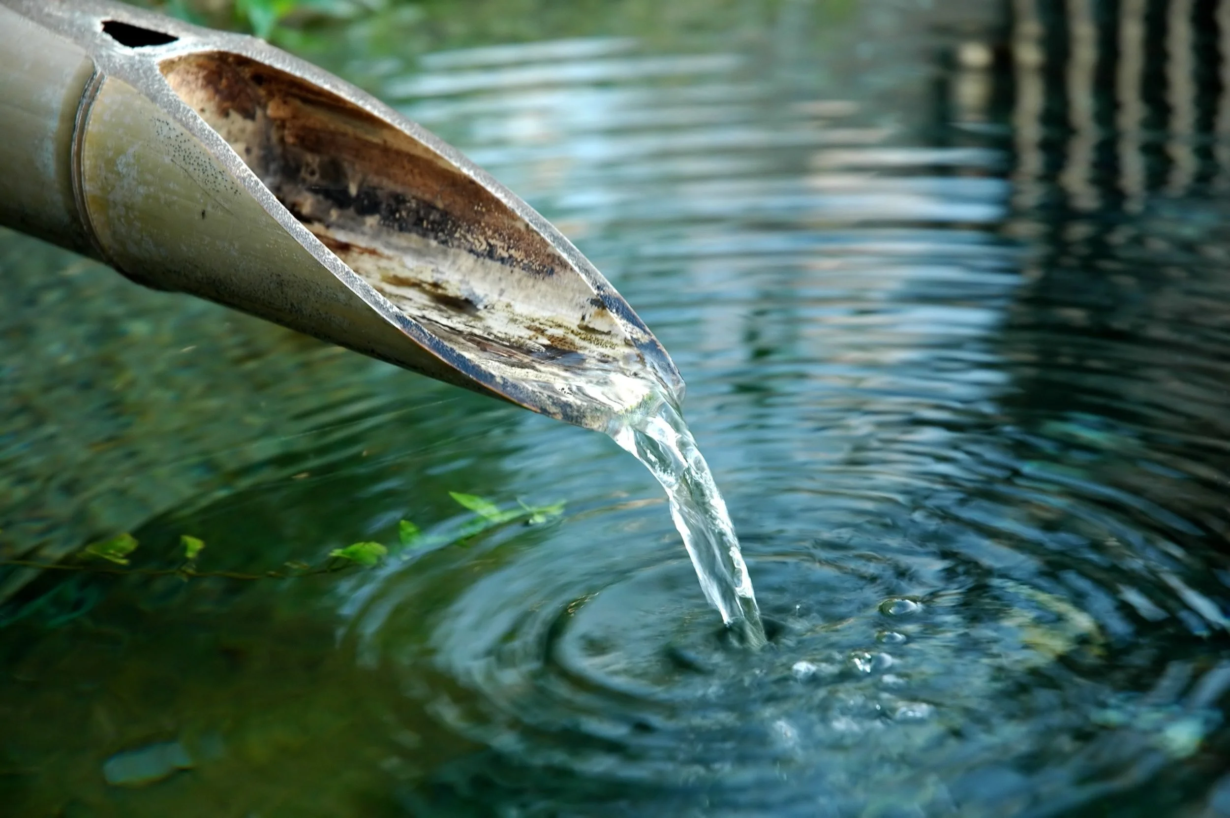 water.jpg