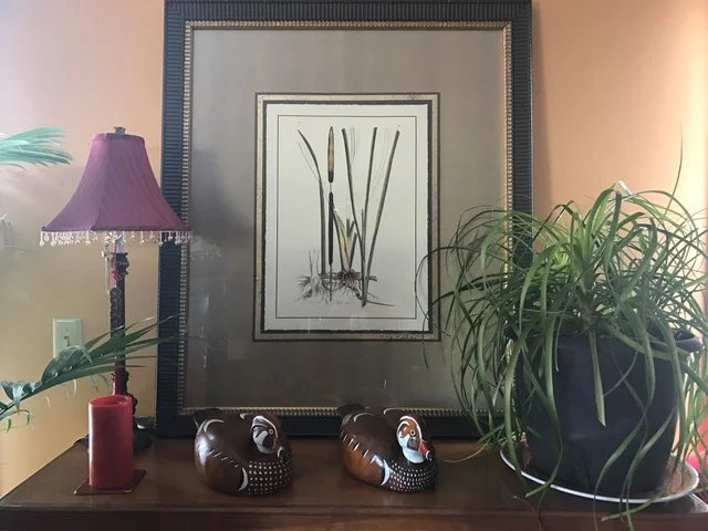 Good "Shui" starts at Home!