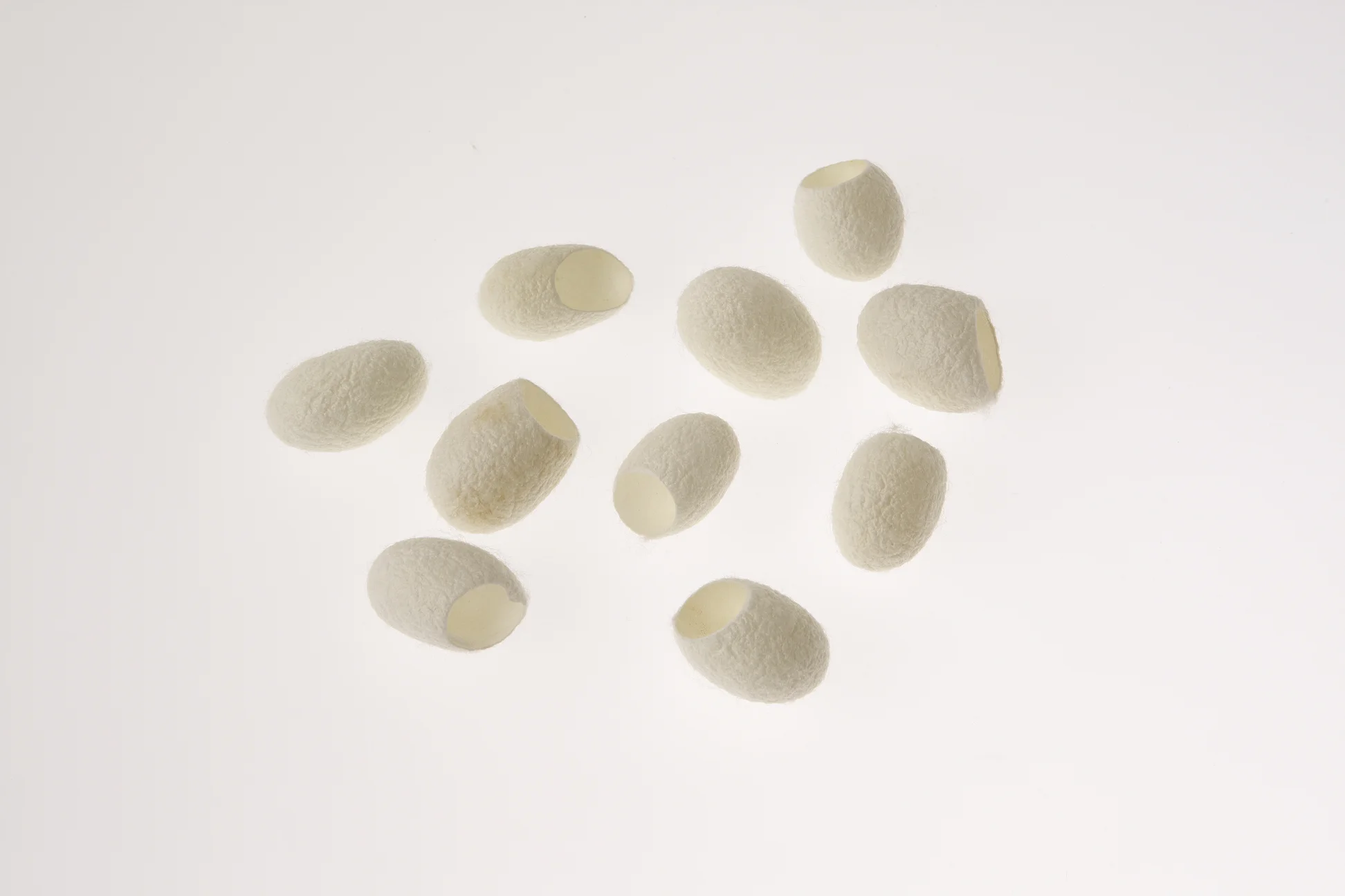 silk ball 2.jpg