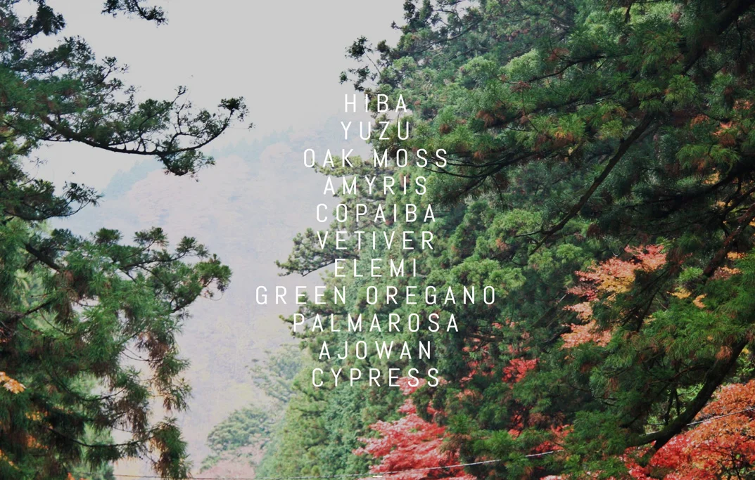 Web_Background_6.jpg