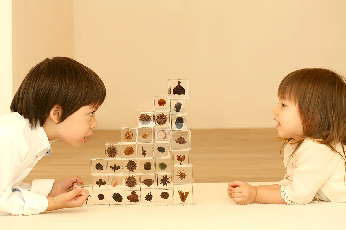 sola-pictures-03.jpg
