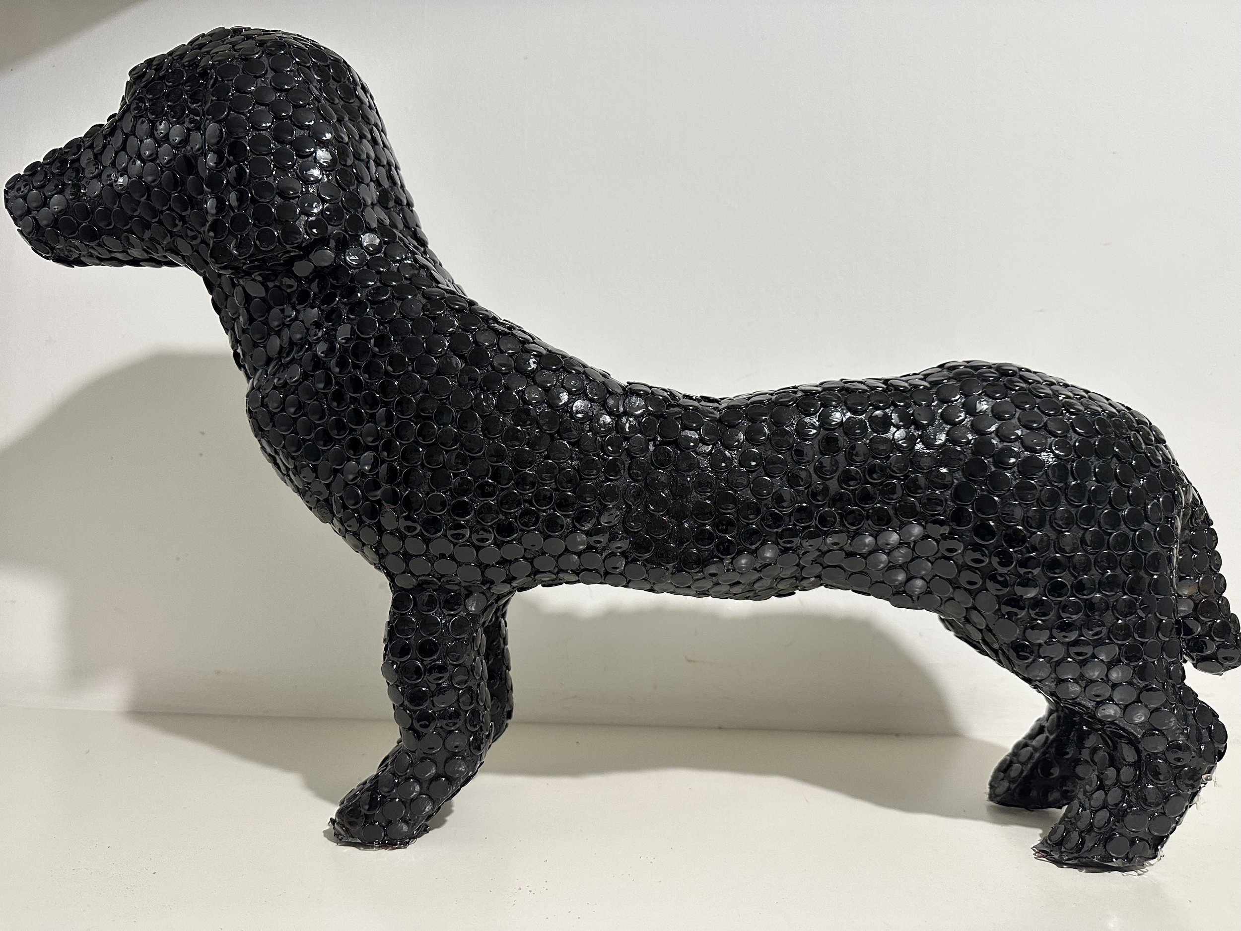 Black Datchshund