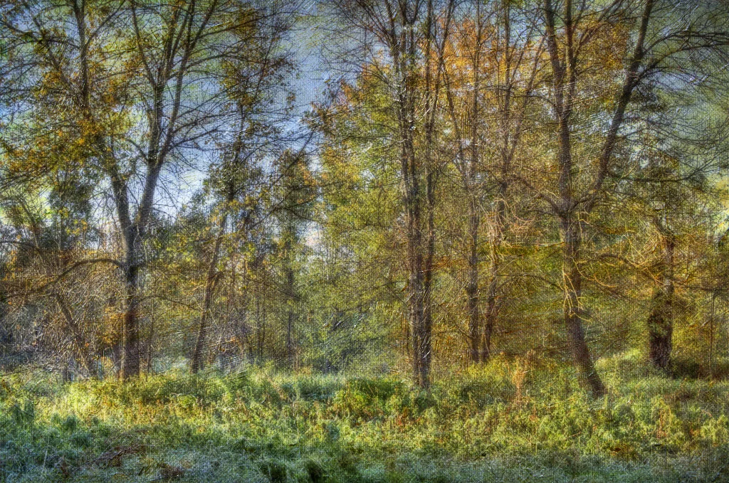 Autumn Impressionism