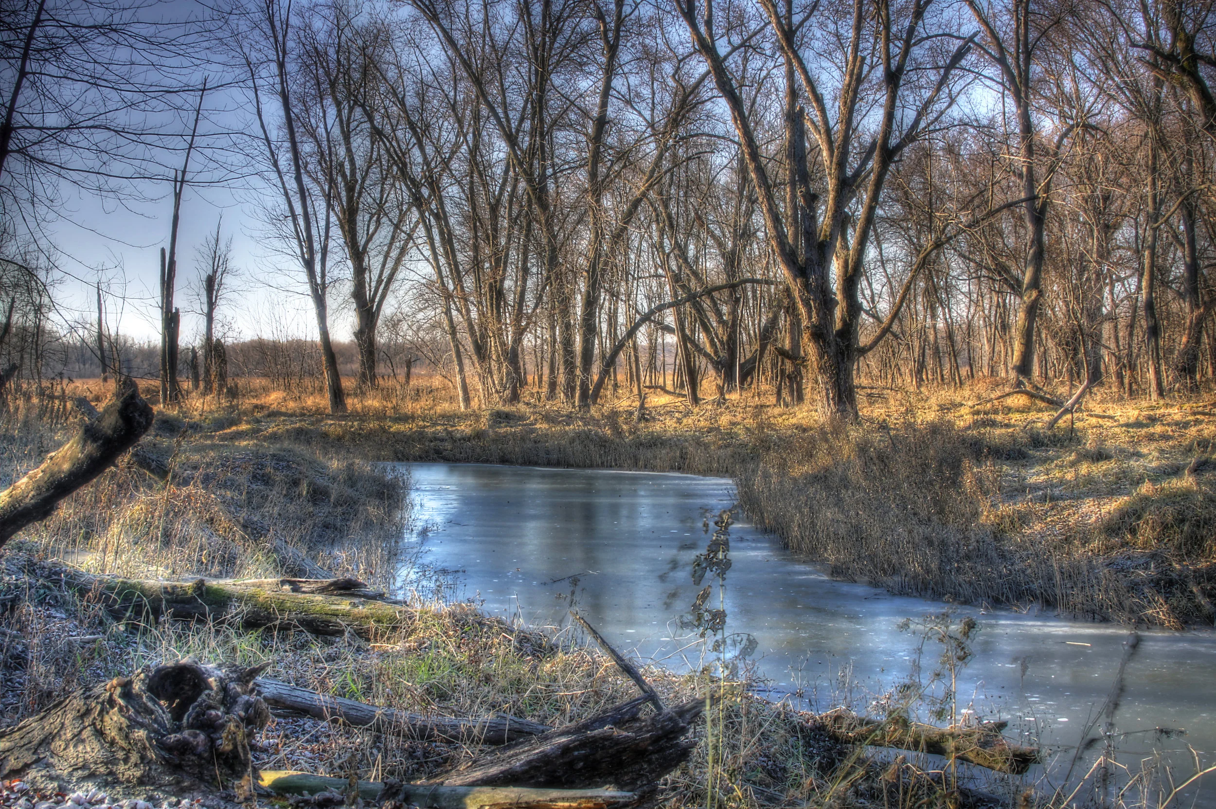 Tributary in Late Autumn