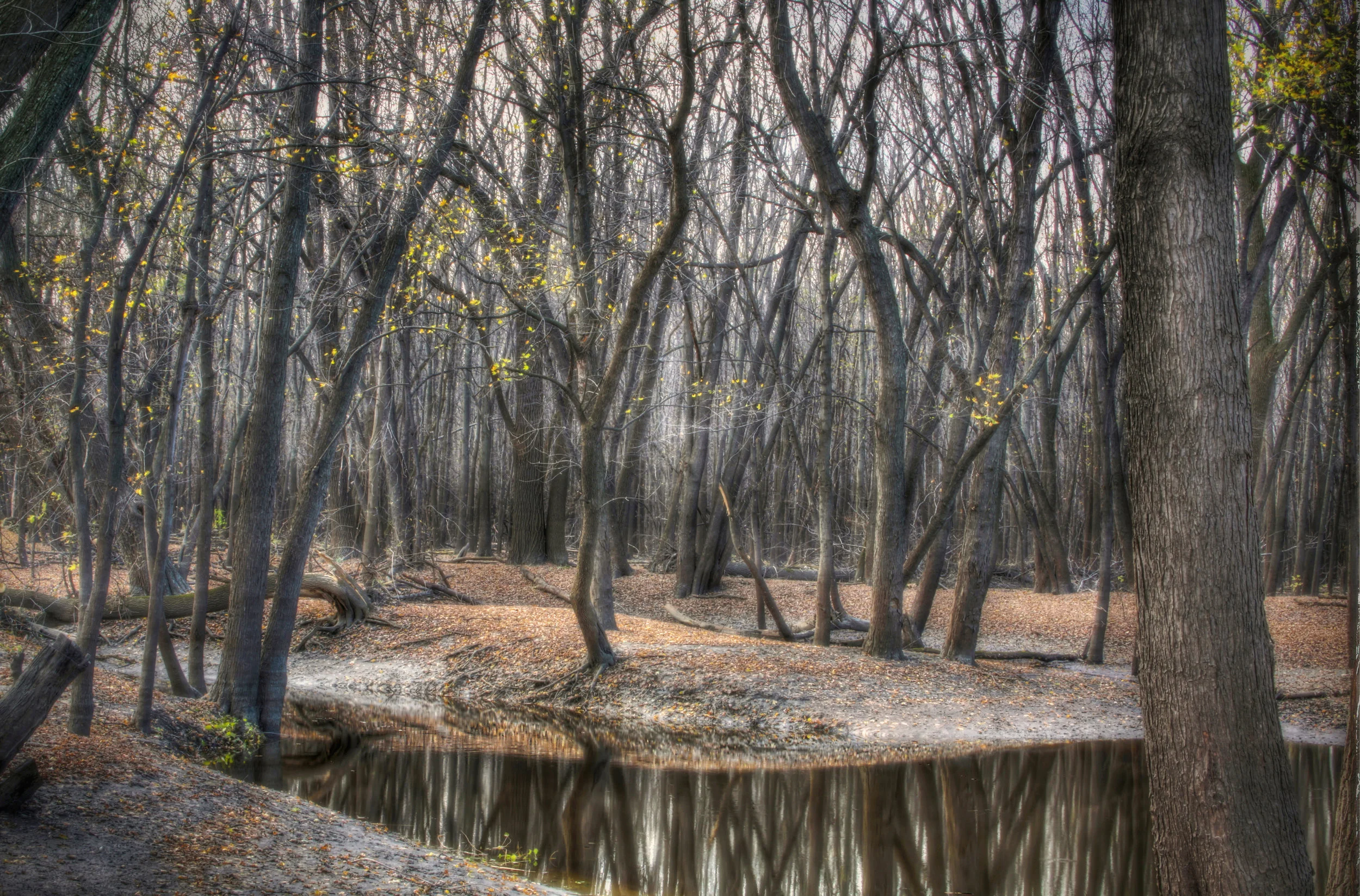 Dark Inlet