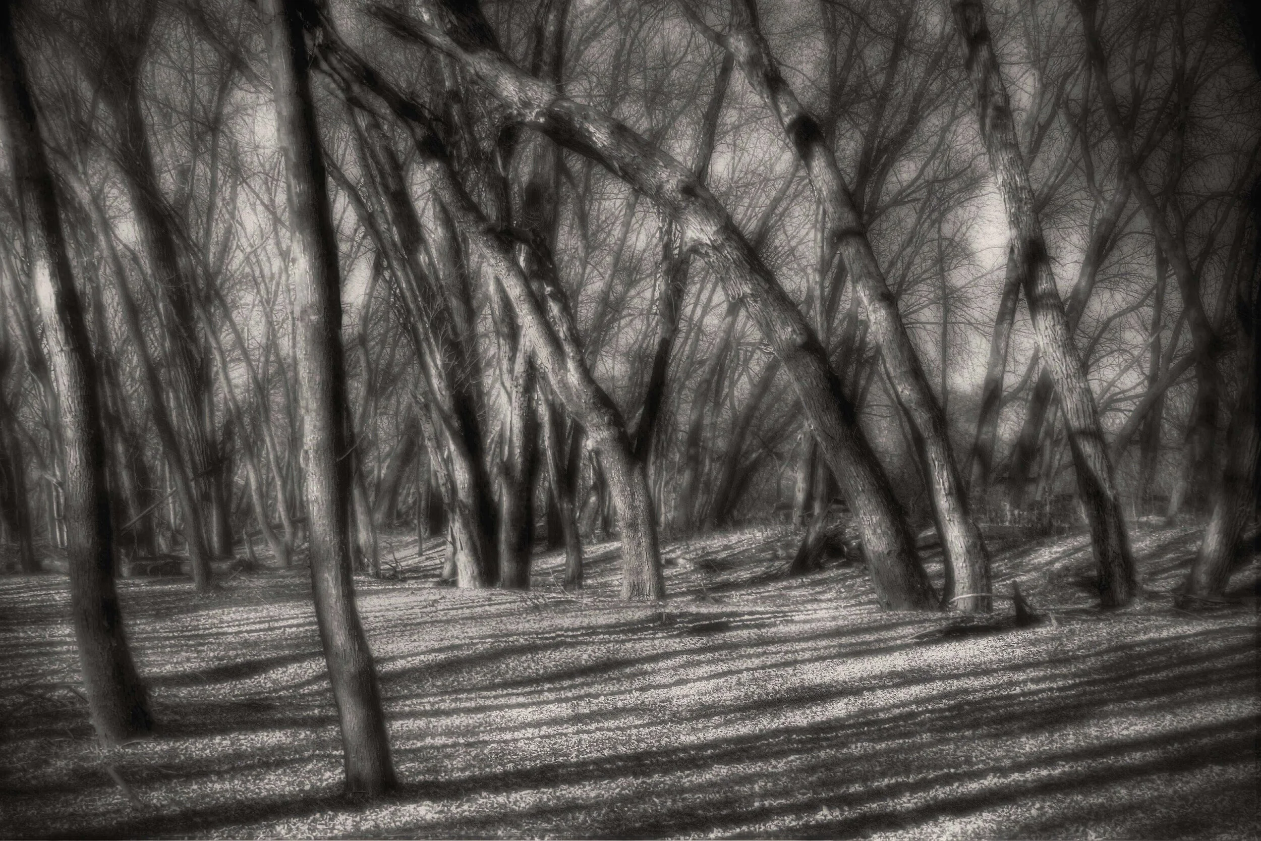 Riverbank at Twilight