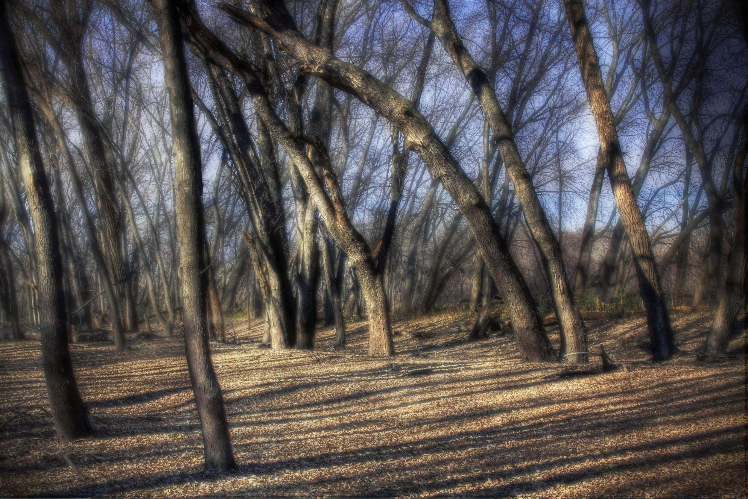 Riverbank at Twilight (Color)