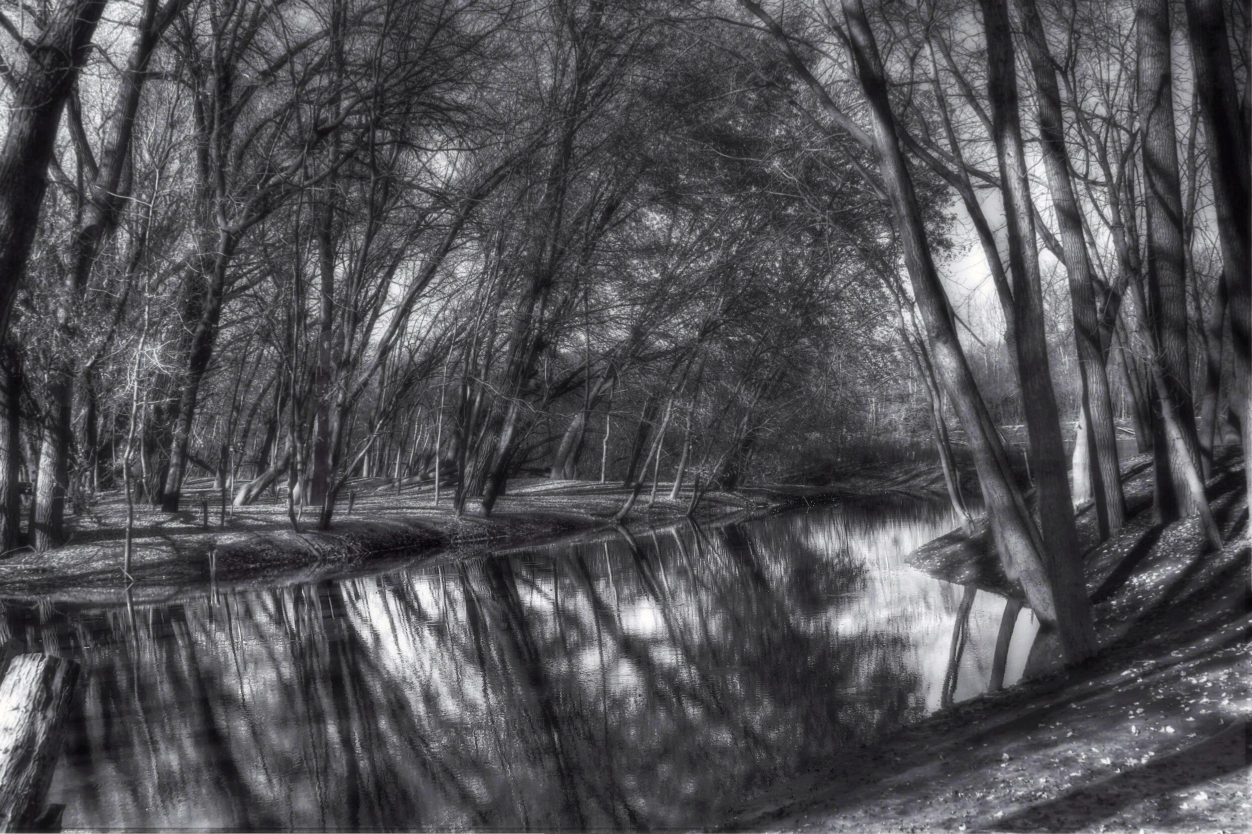 Riverbank in Reflection