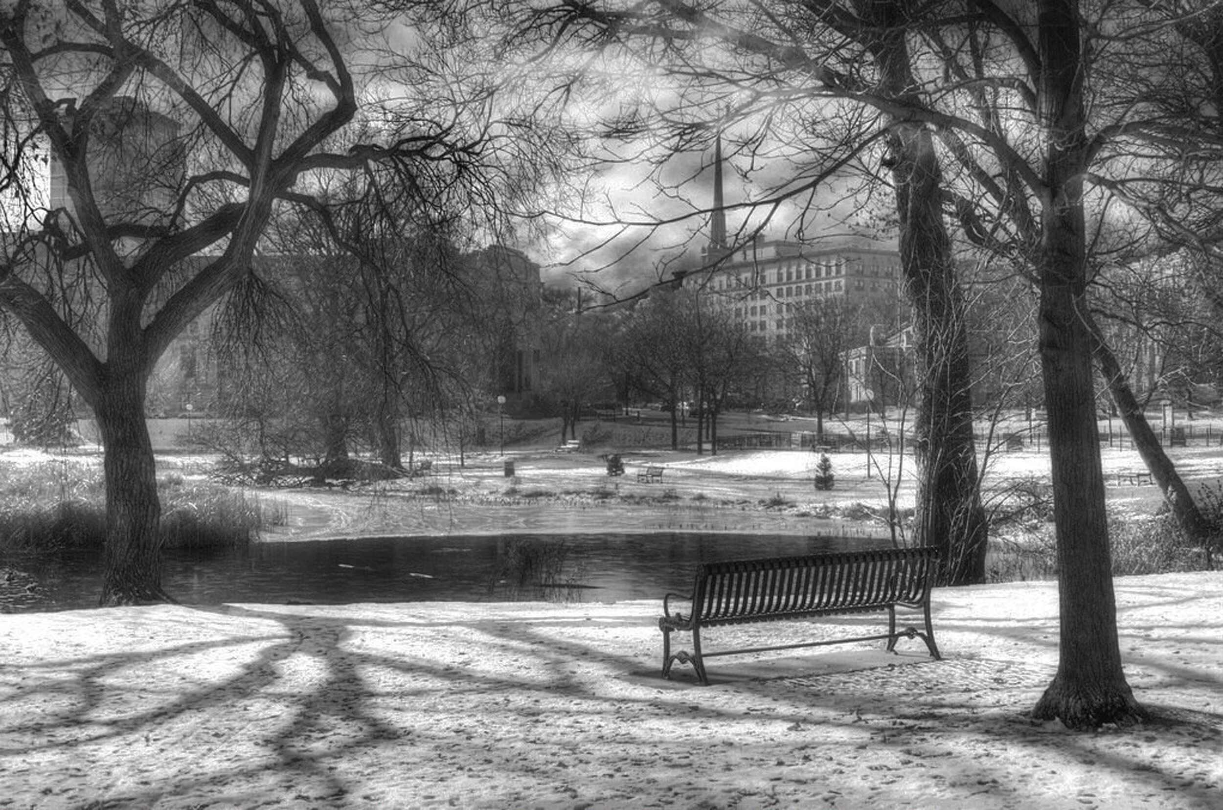 Early Winter in Loring Park