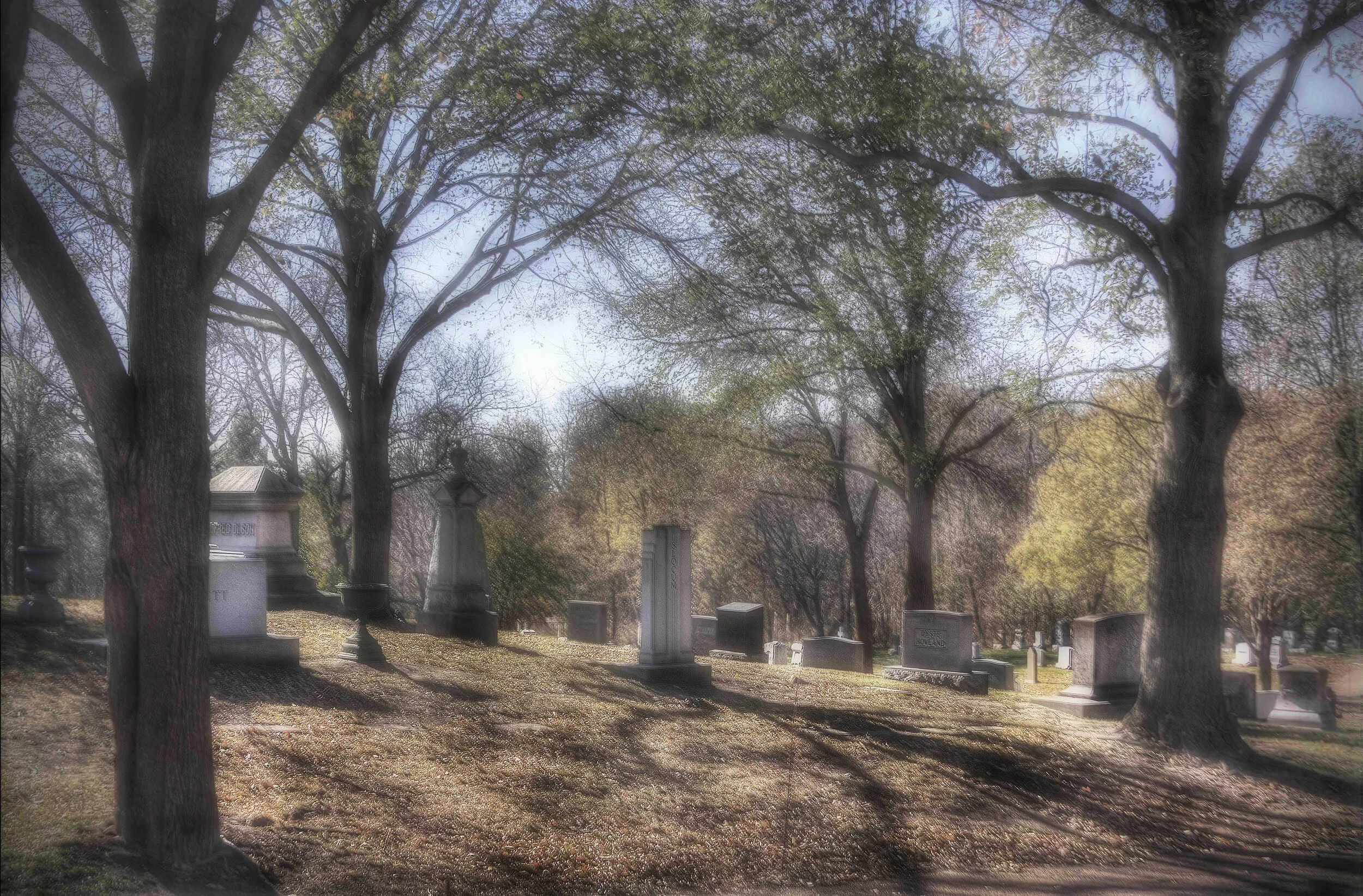 Domain of Shadows (Color)