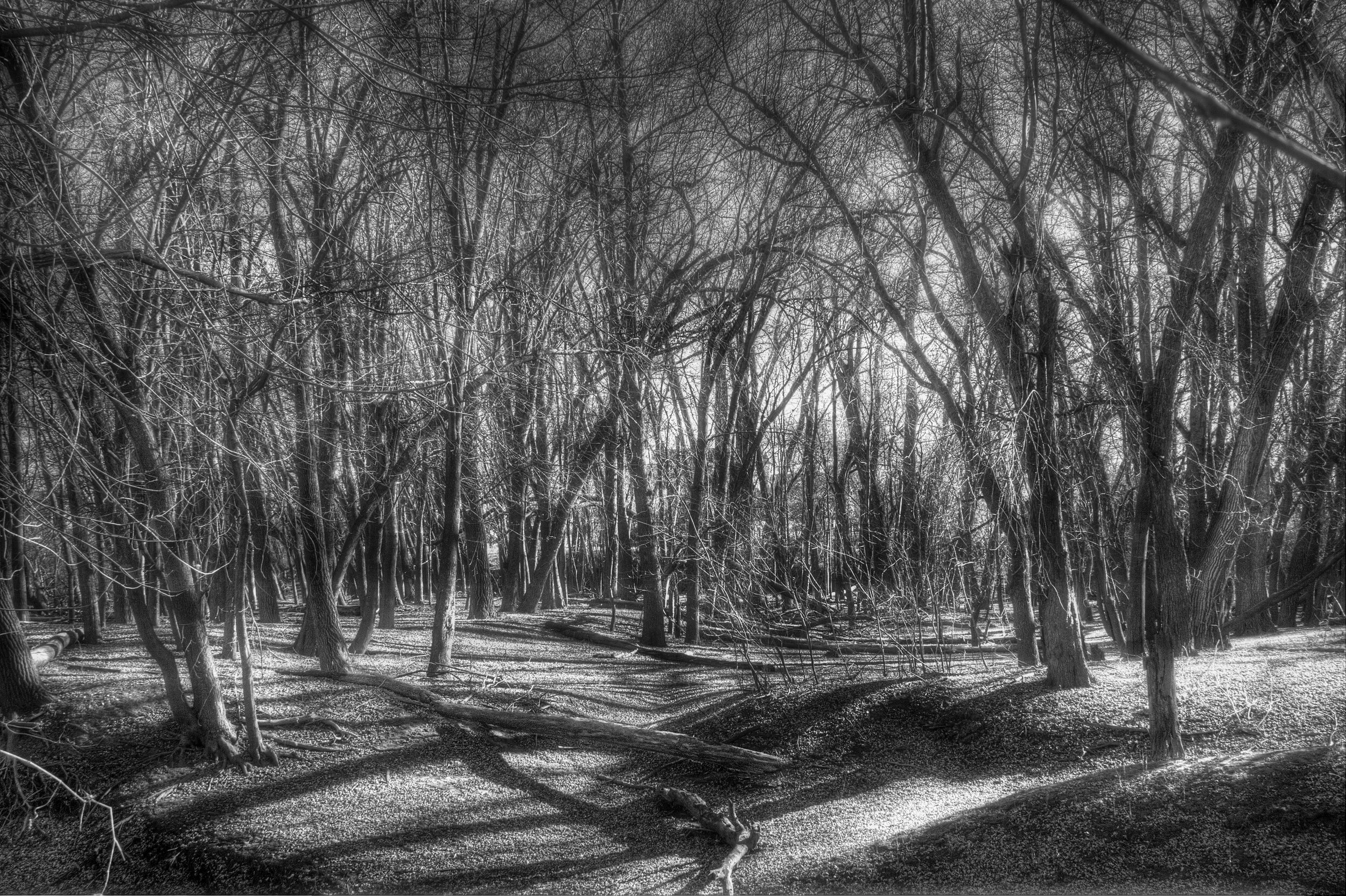 Riverbank Light Slipping Away