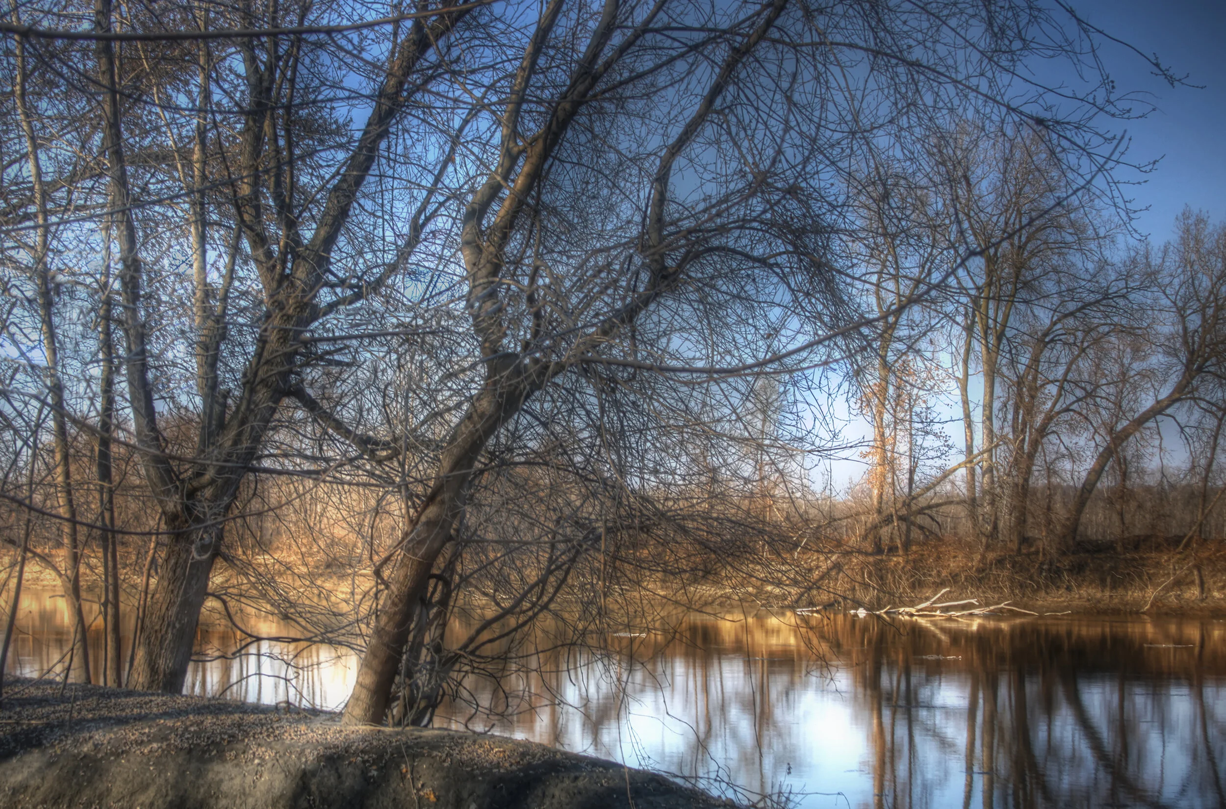 Riverbank at Late Afternoon