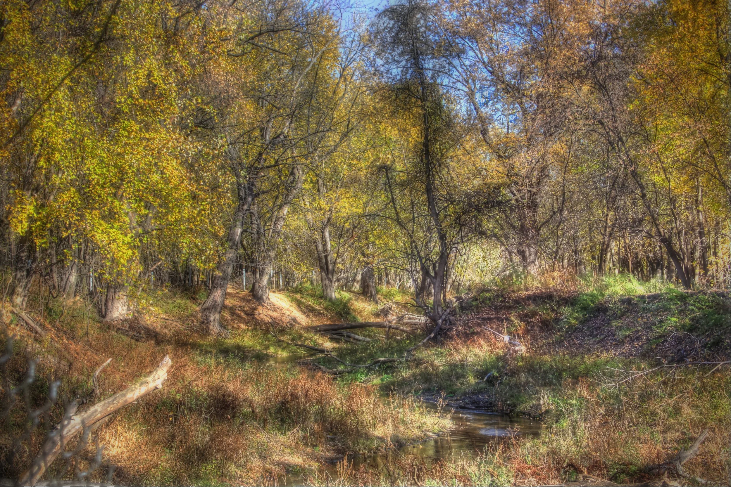 River Inlet in Autumn