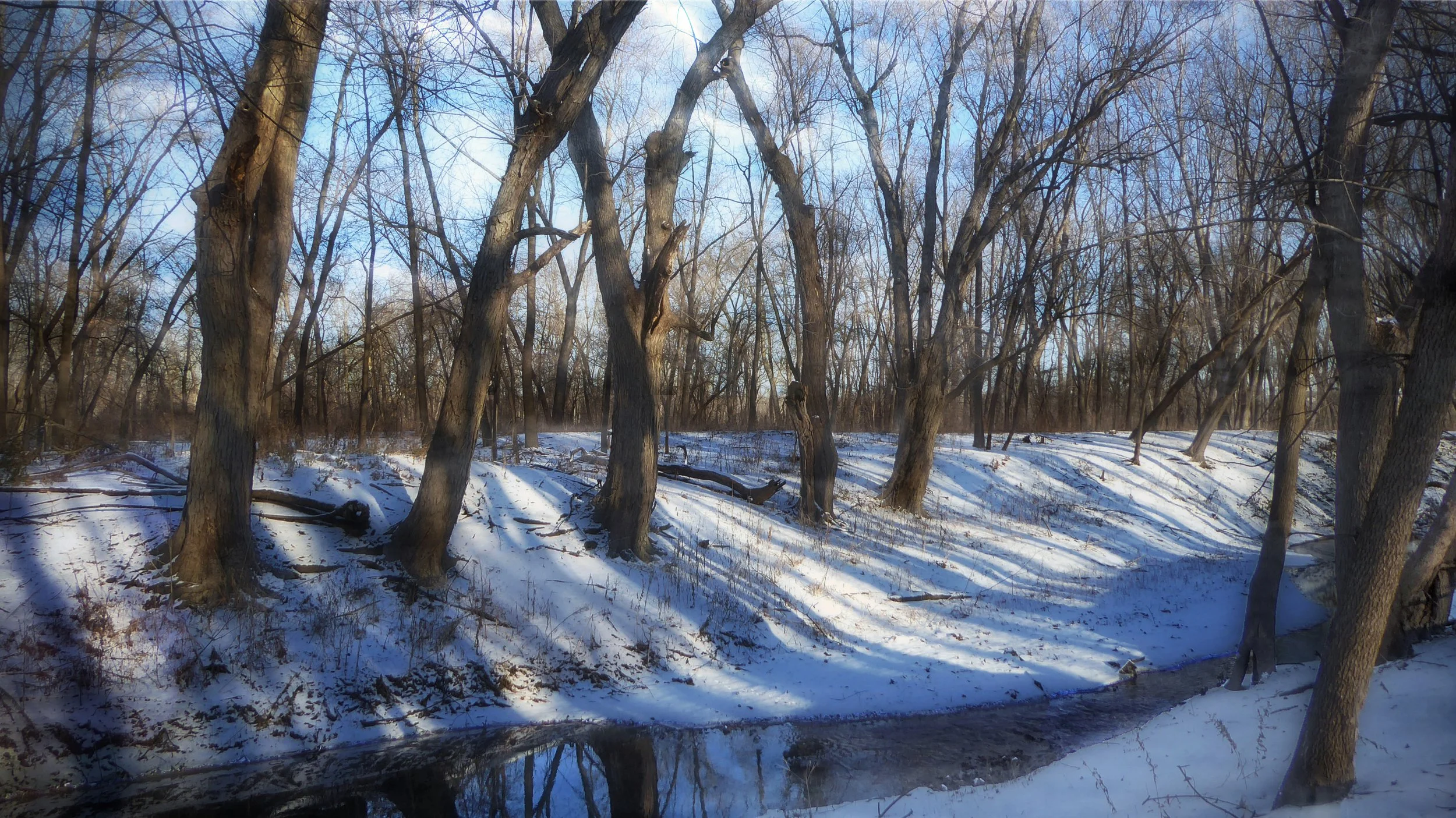 Winter Stream