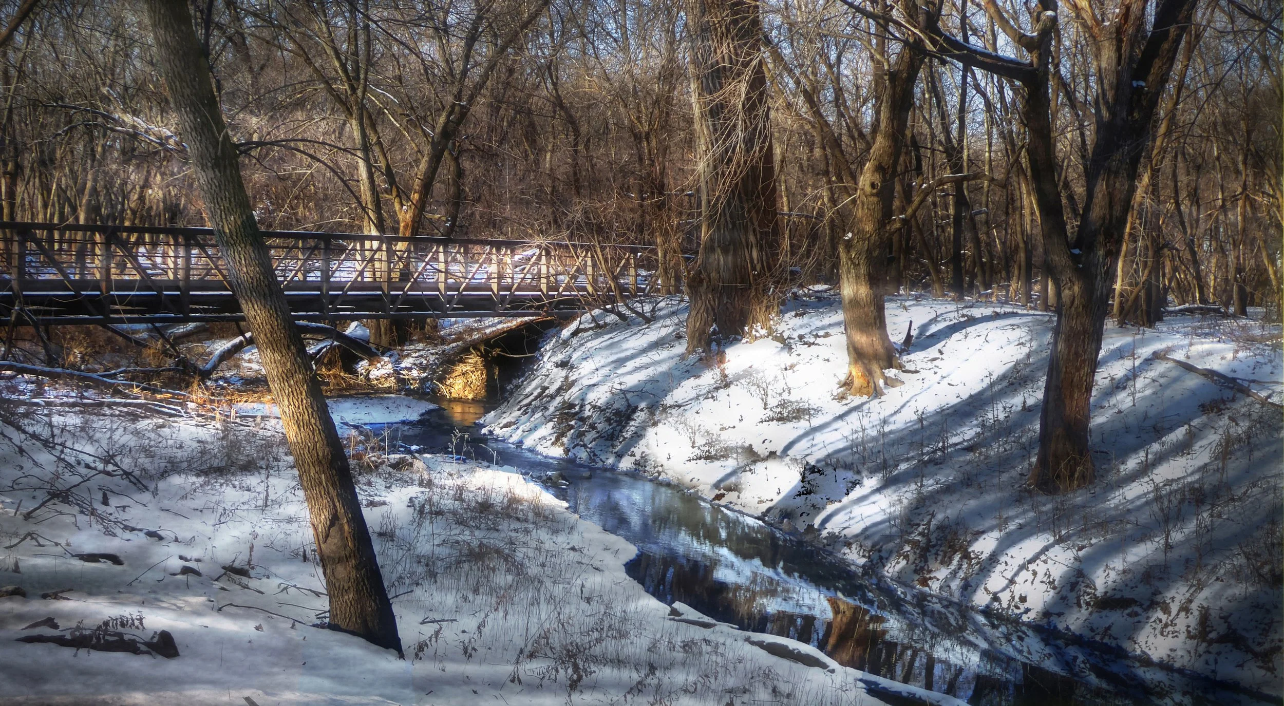 Winter Footbridge 