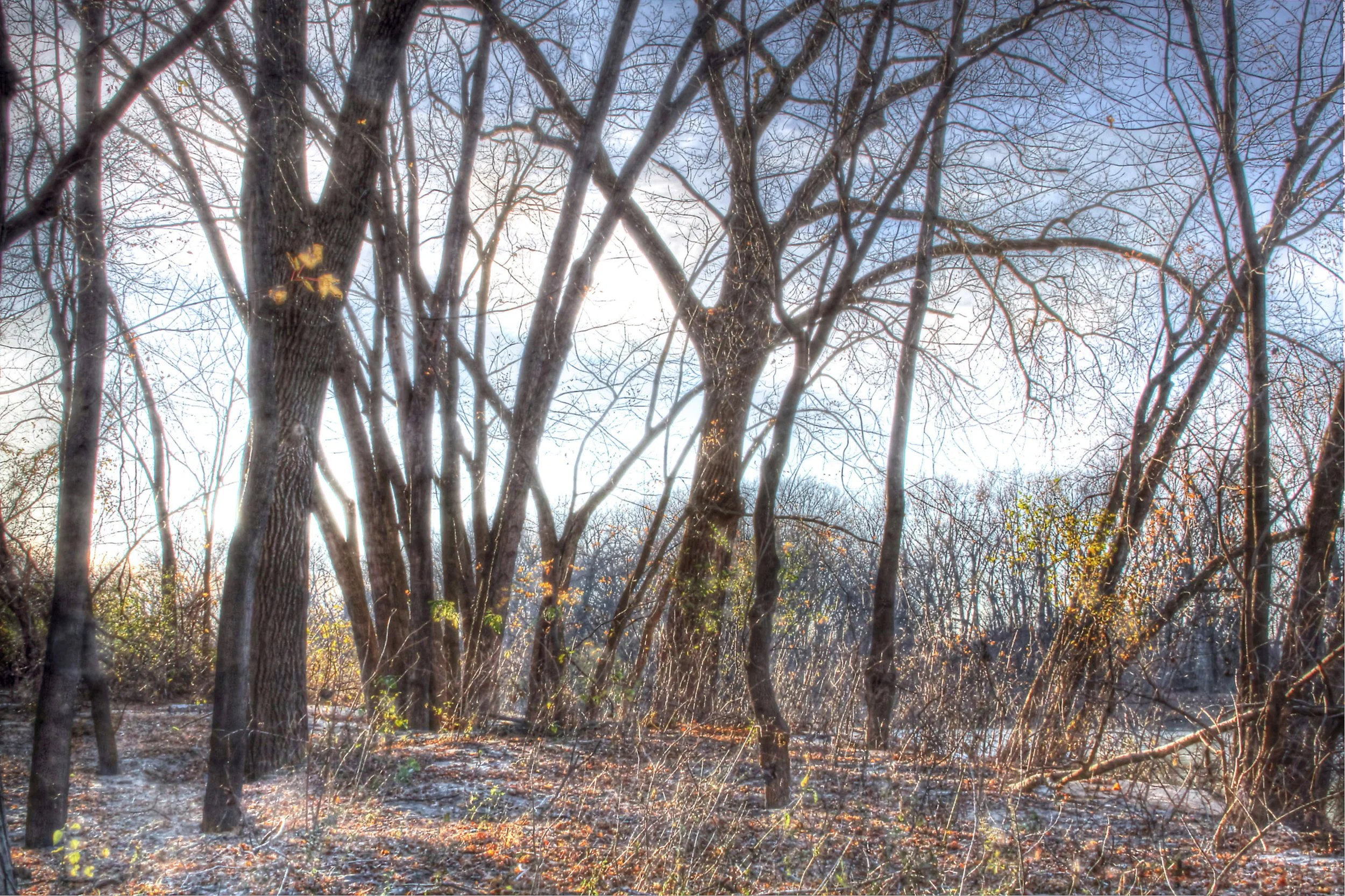 River Bluff at End of Day