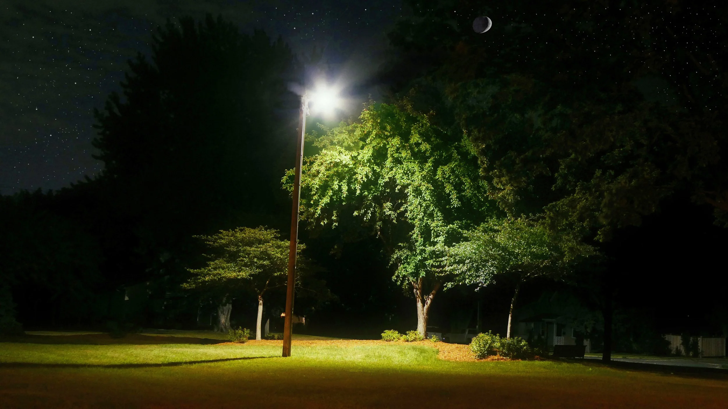 Summer Night - Detail