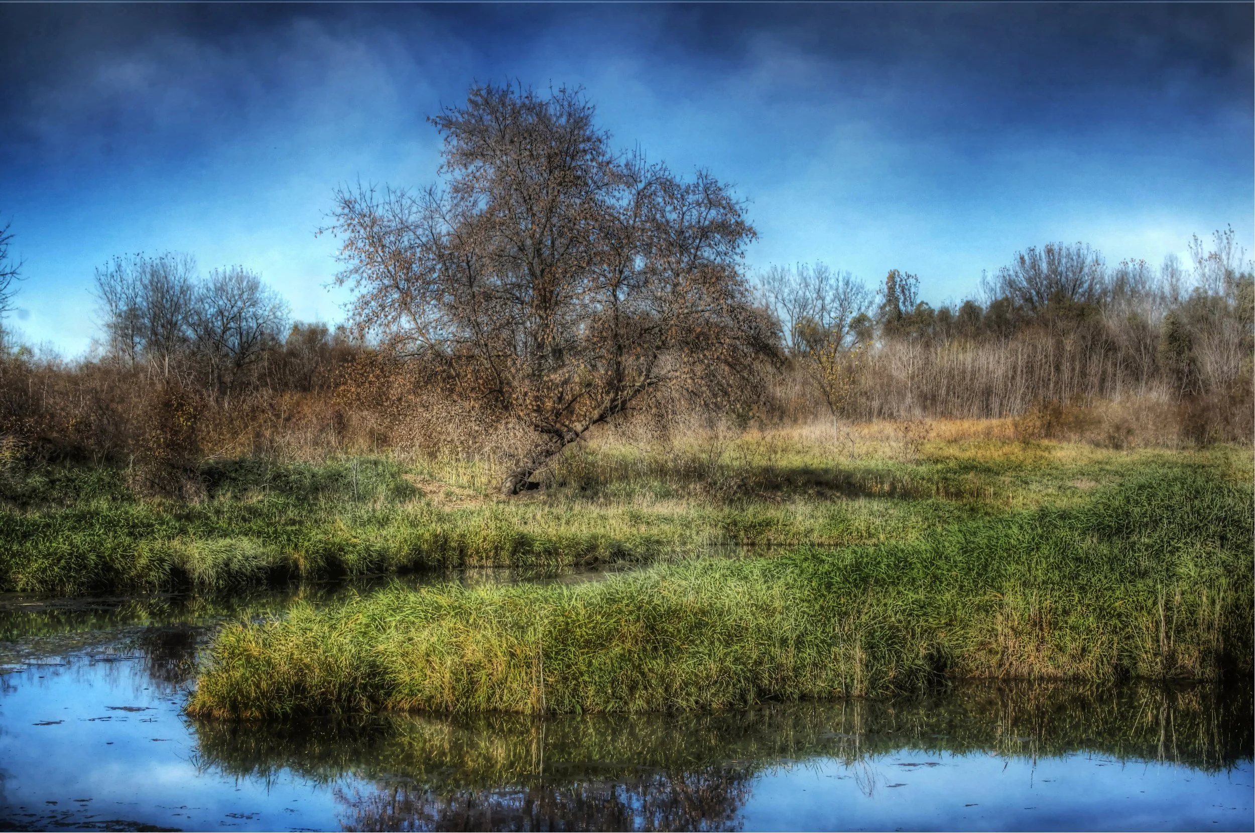Wetlands