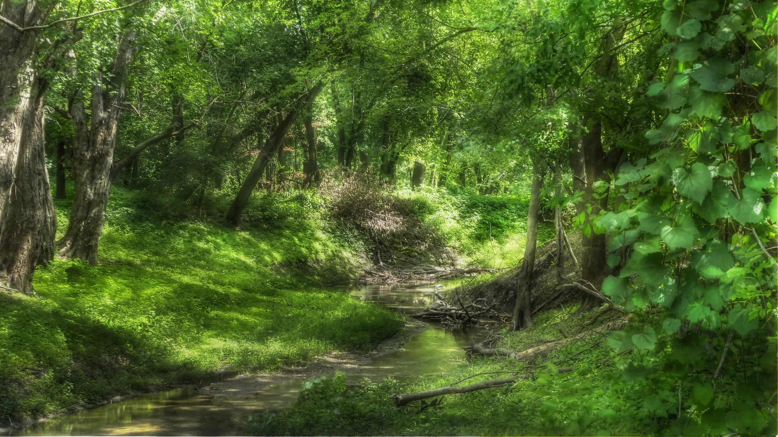 Summer Stream