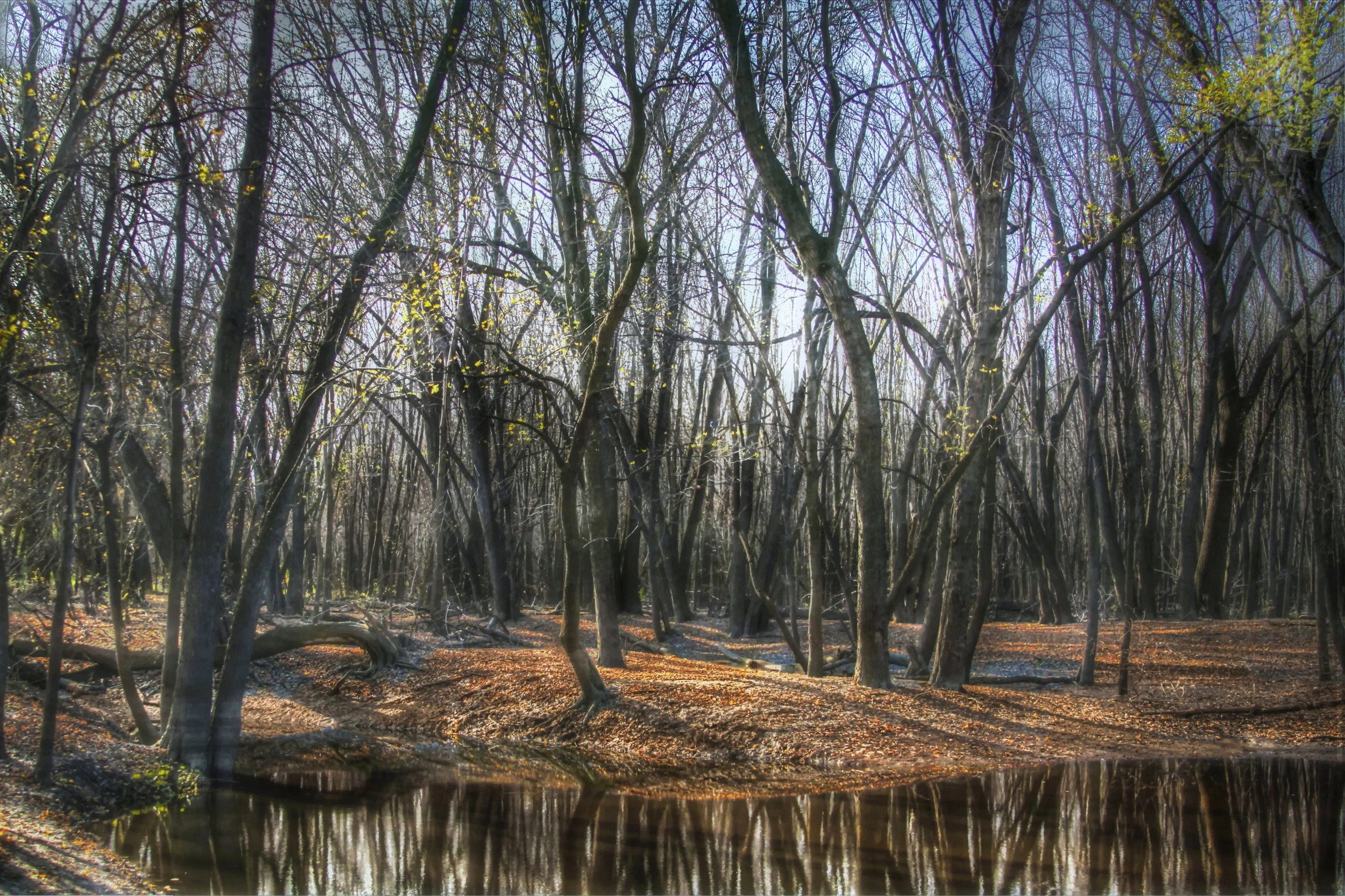 River Inlet in Autumn