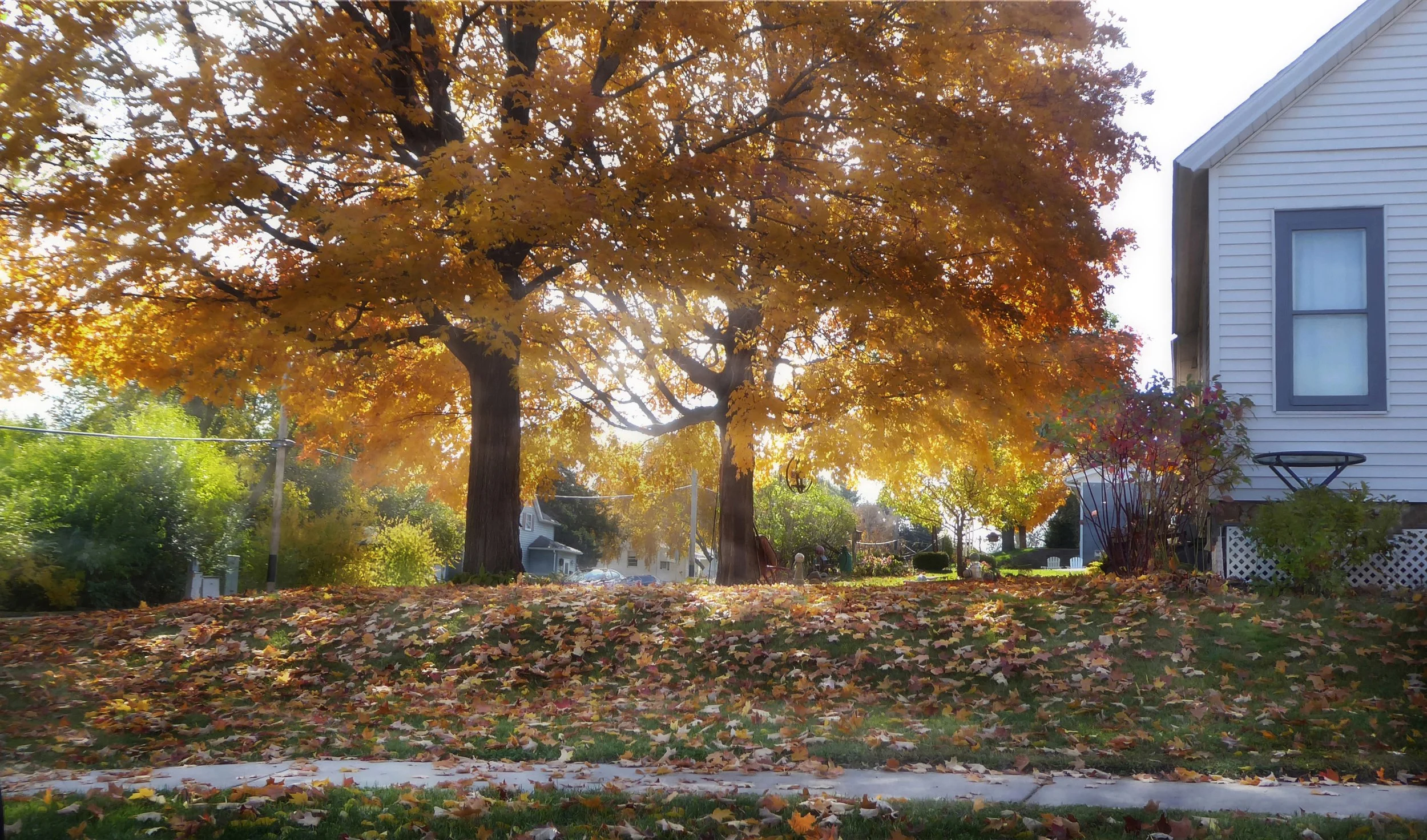 Autumn in the Neighborhood