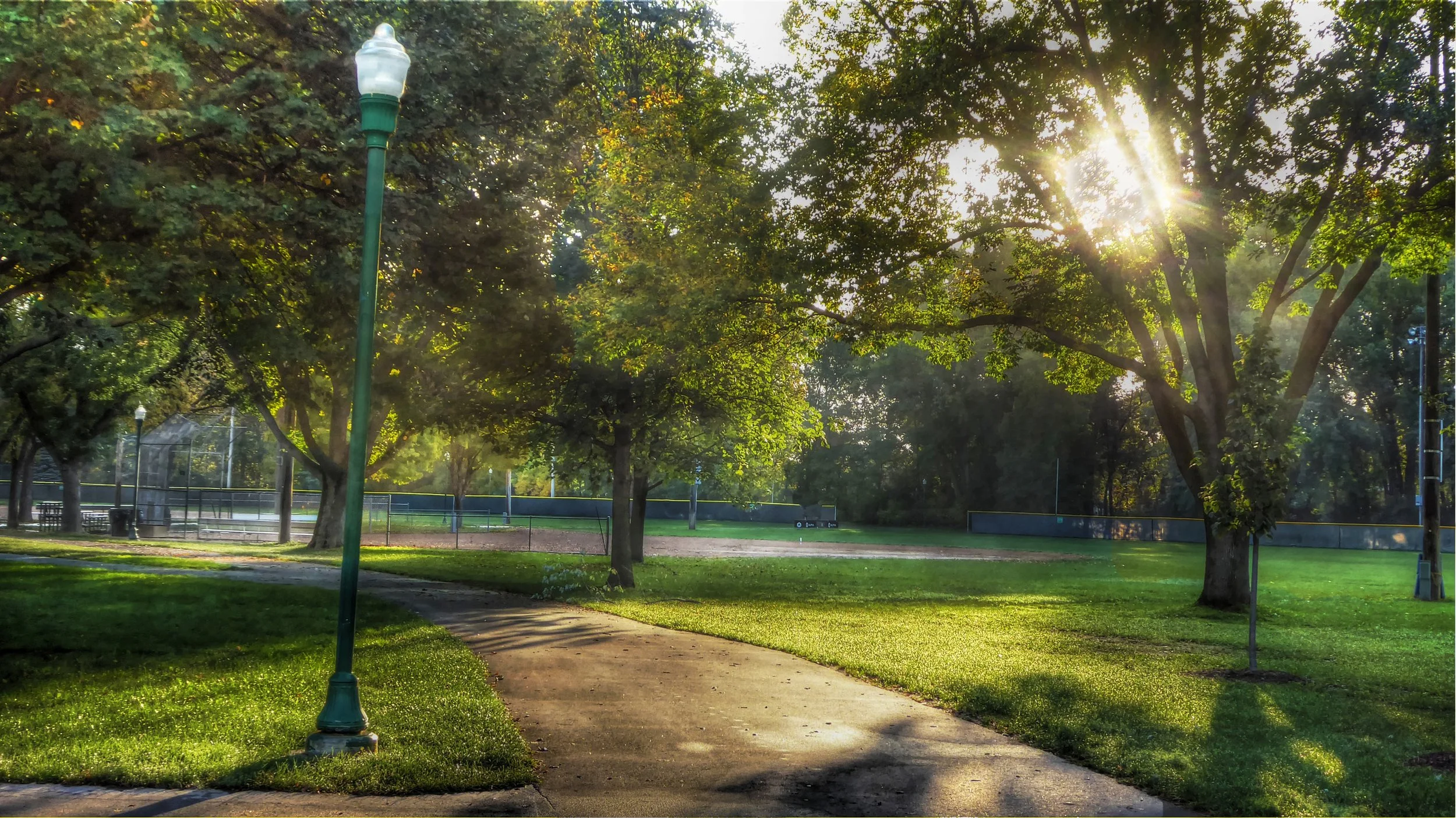 Empty Park in Morning Light