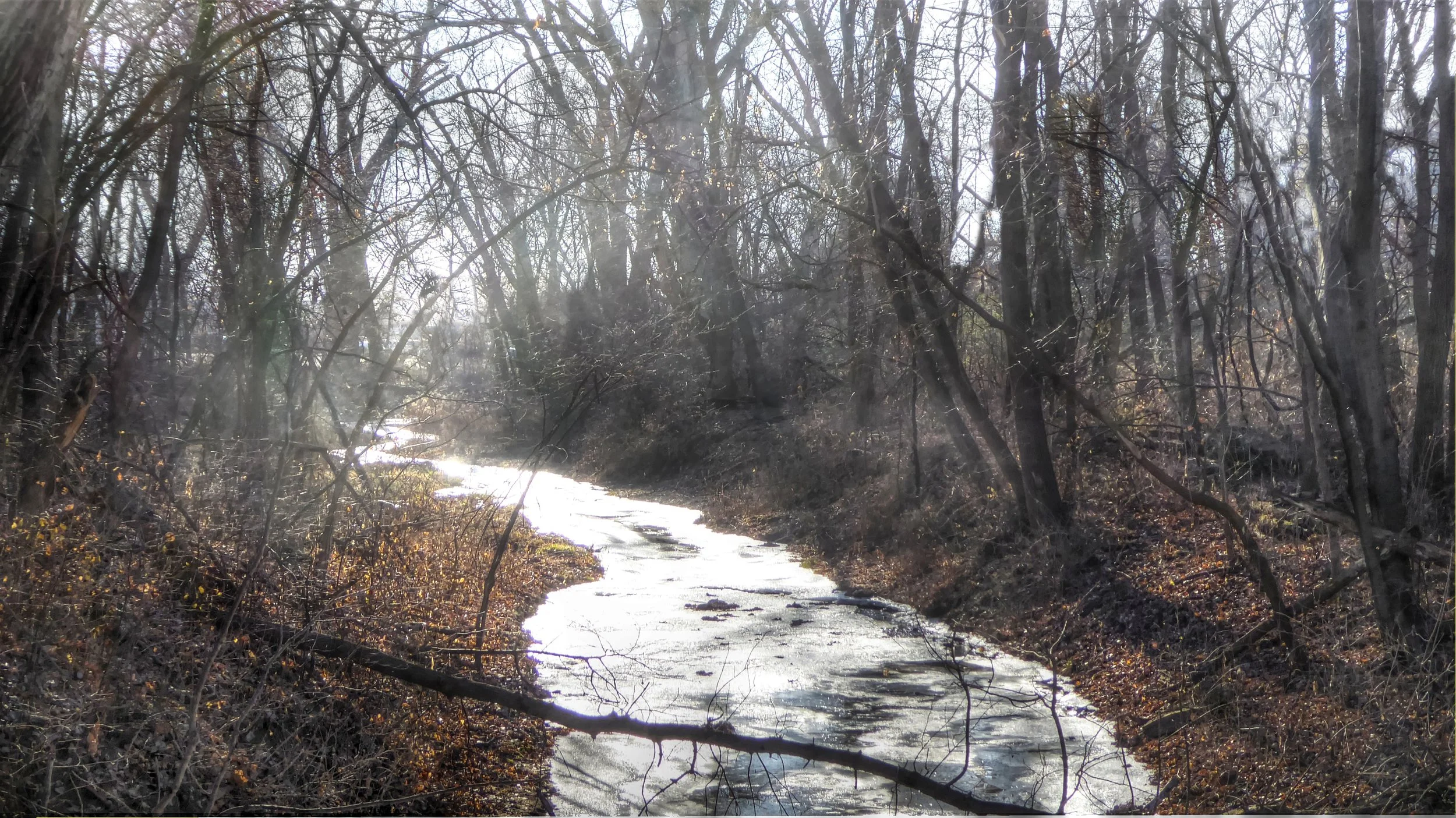 Frozen Stream