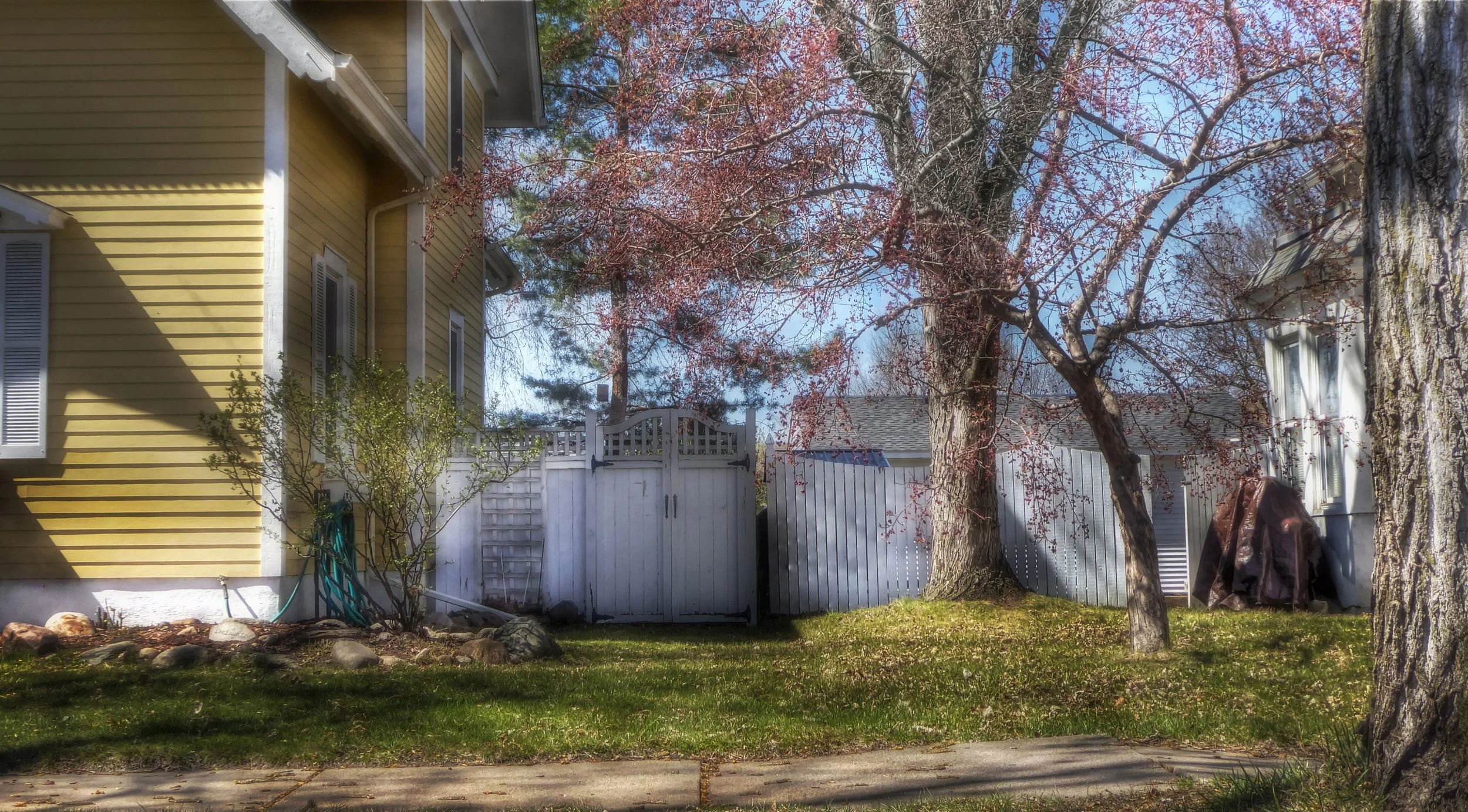 April in the Neighborhood