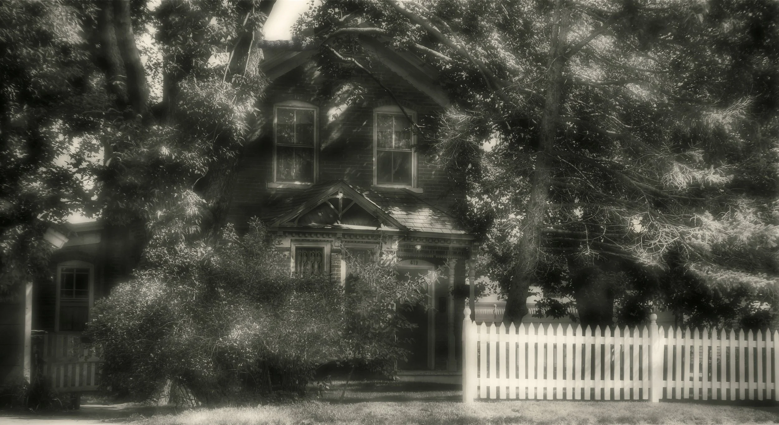 Countless Summers B&W