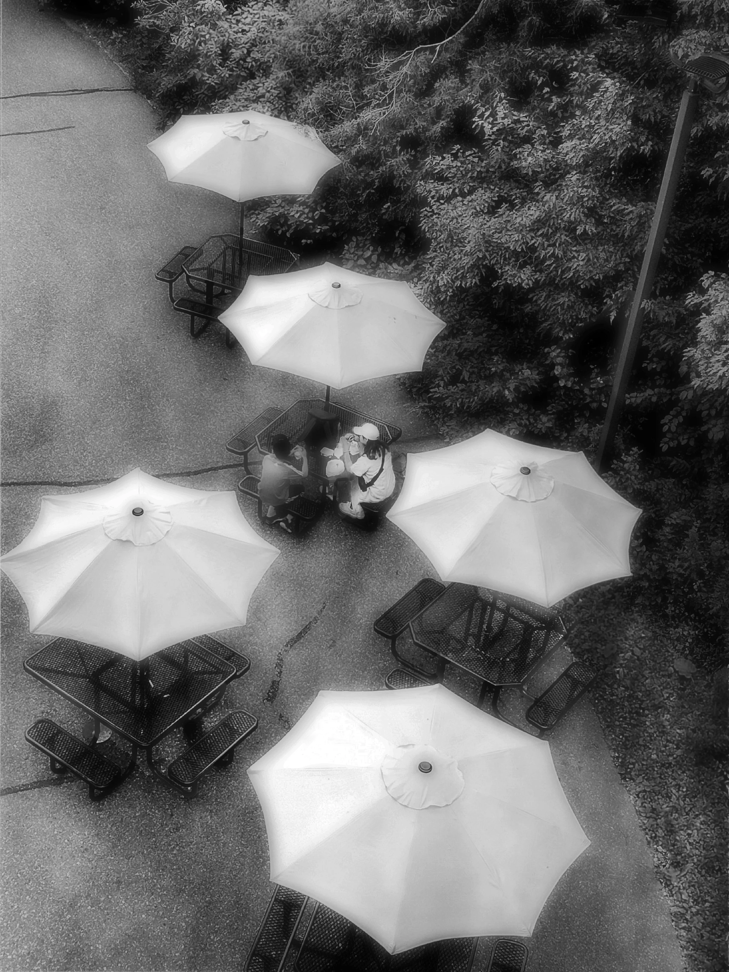 Umbrellas B&W