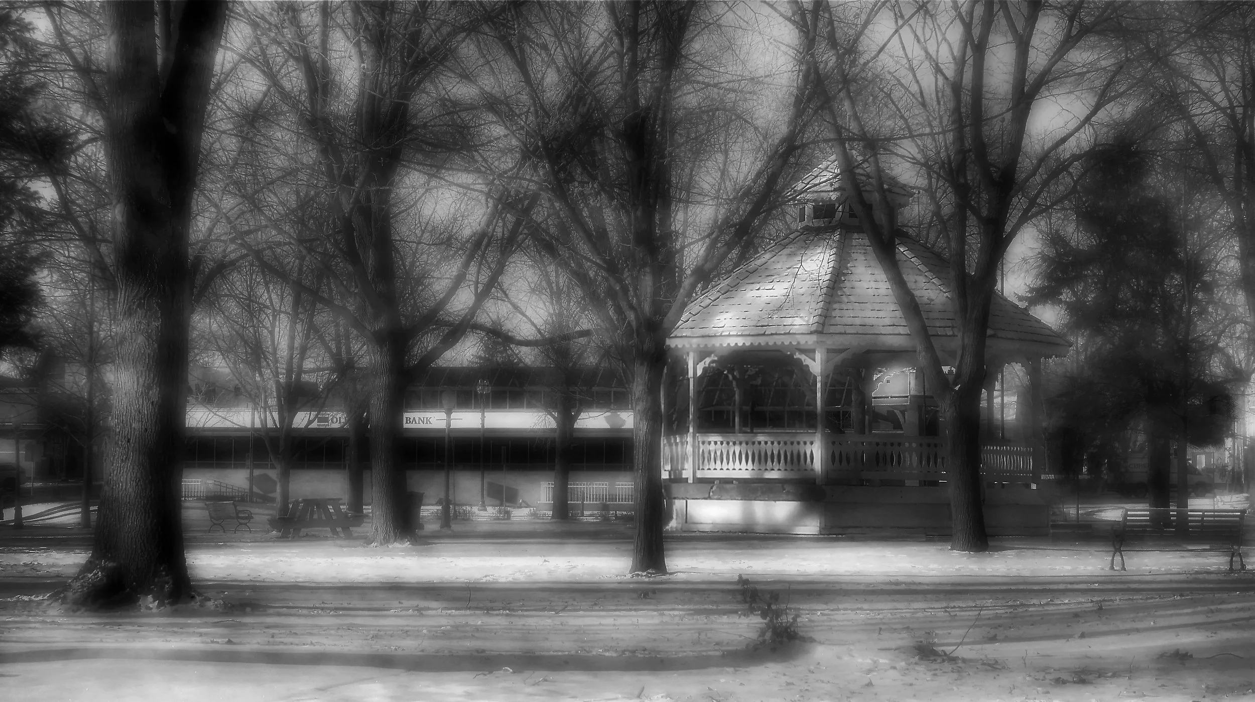 Snowy Park in Fading Light