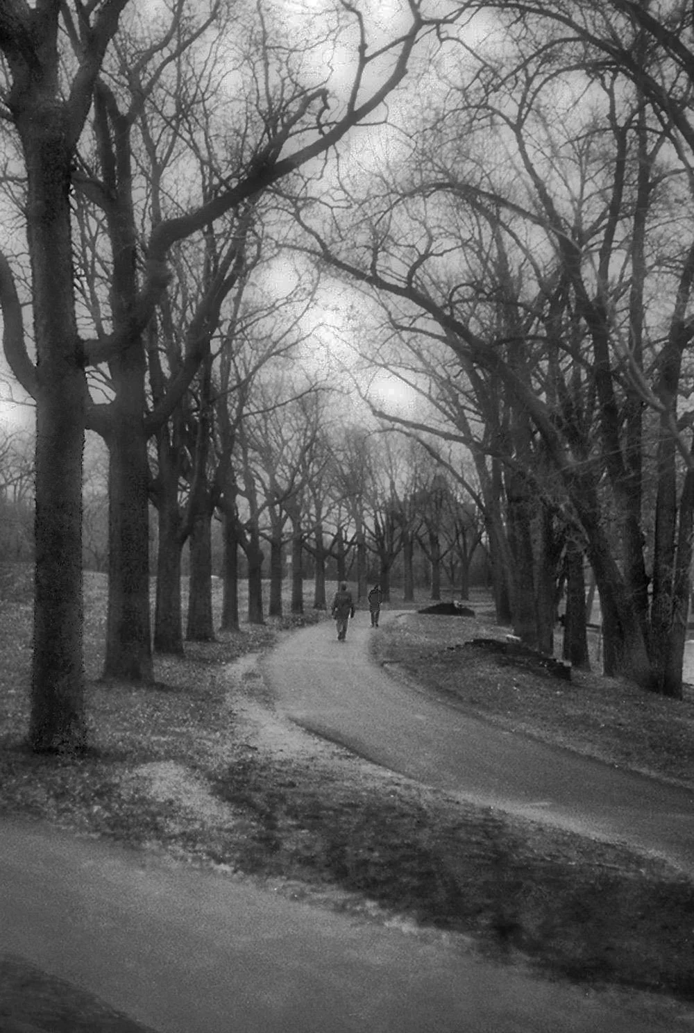 Lake Calhoun Walkway at Twilight II