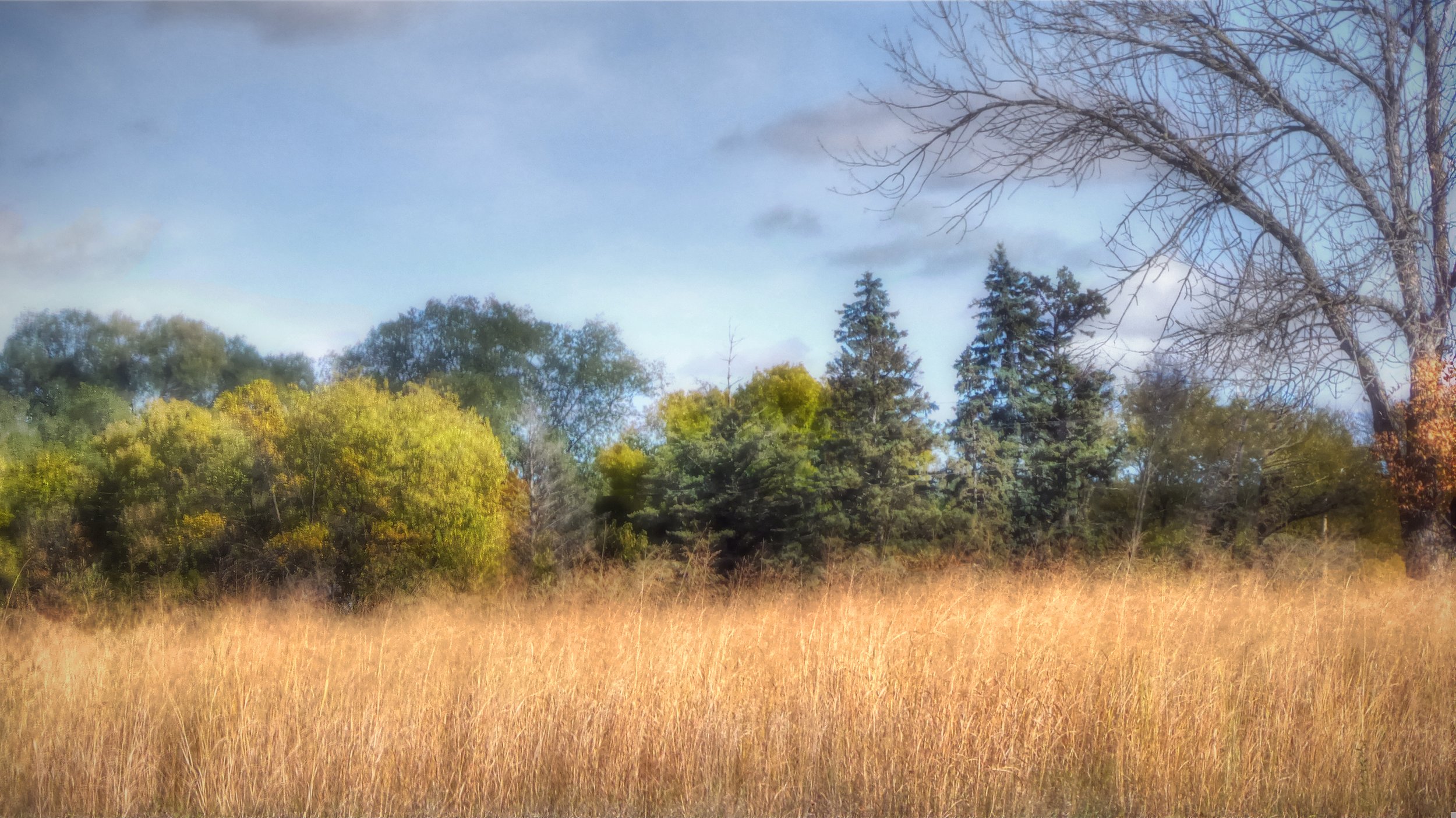 Turning of the Season