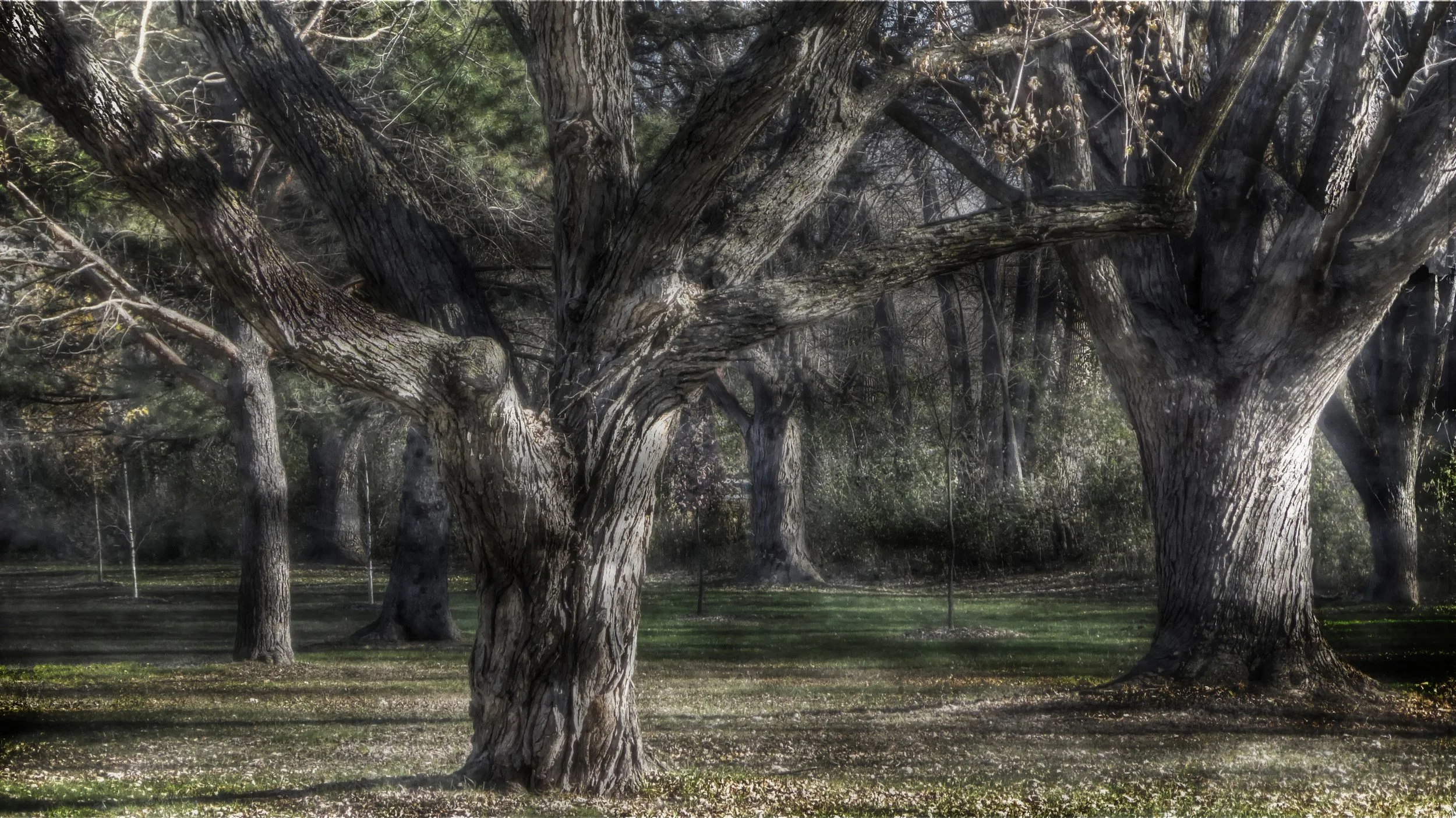 Late in the Afternoon