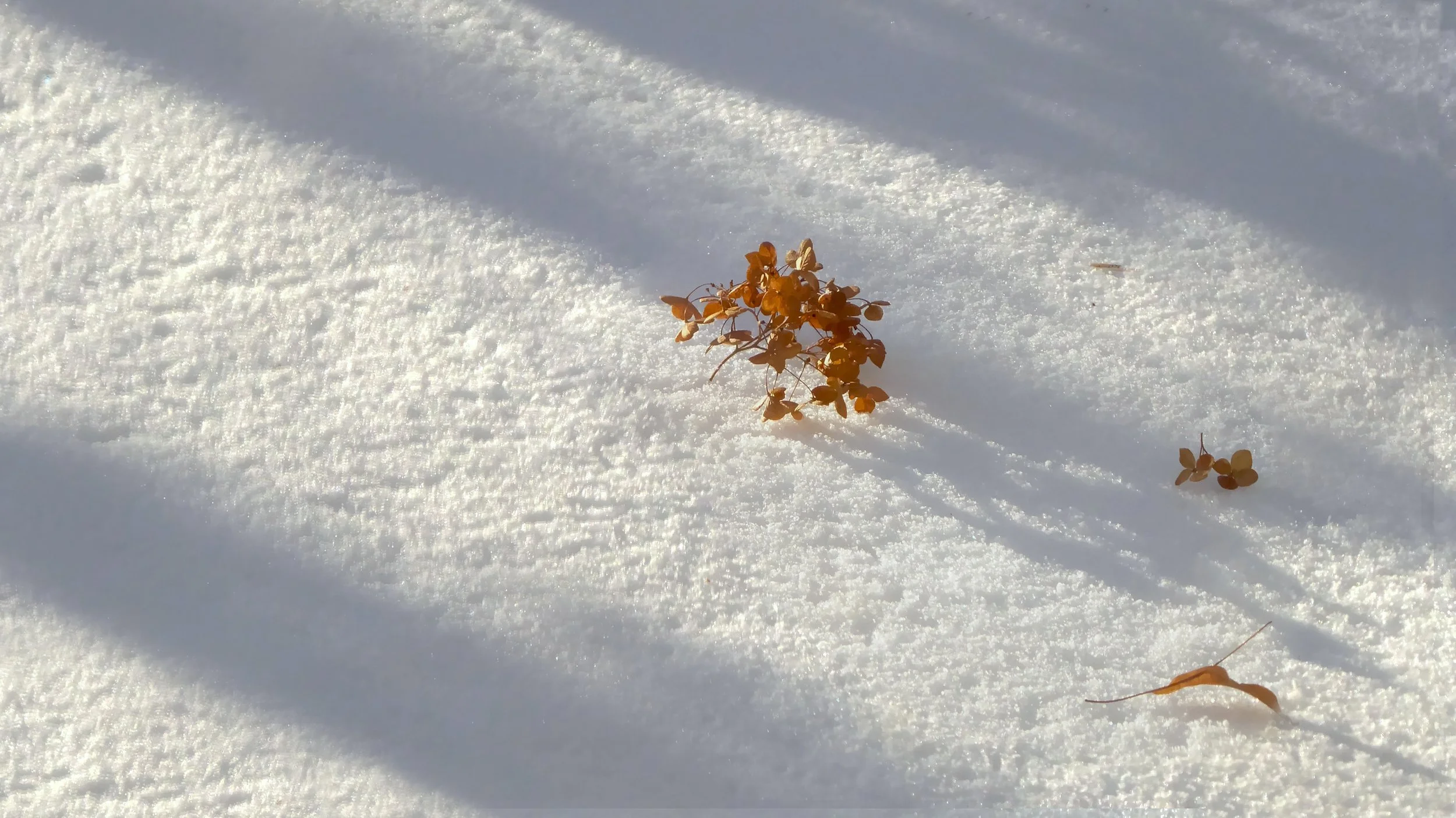 Snowfield