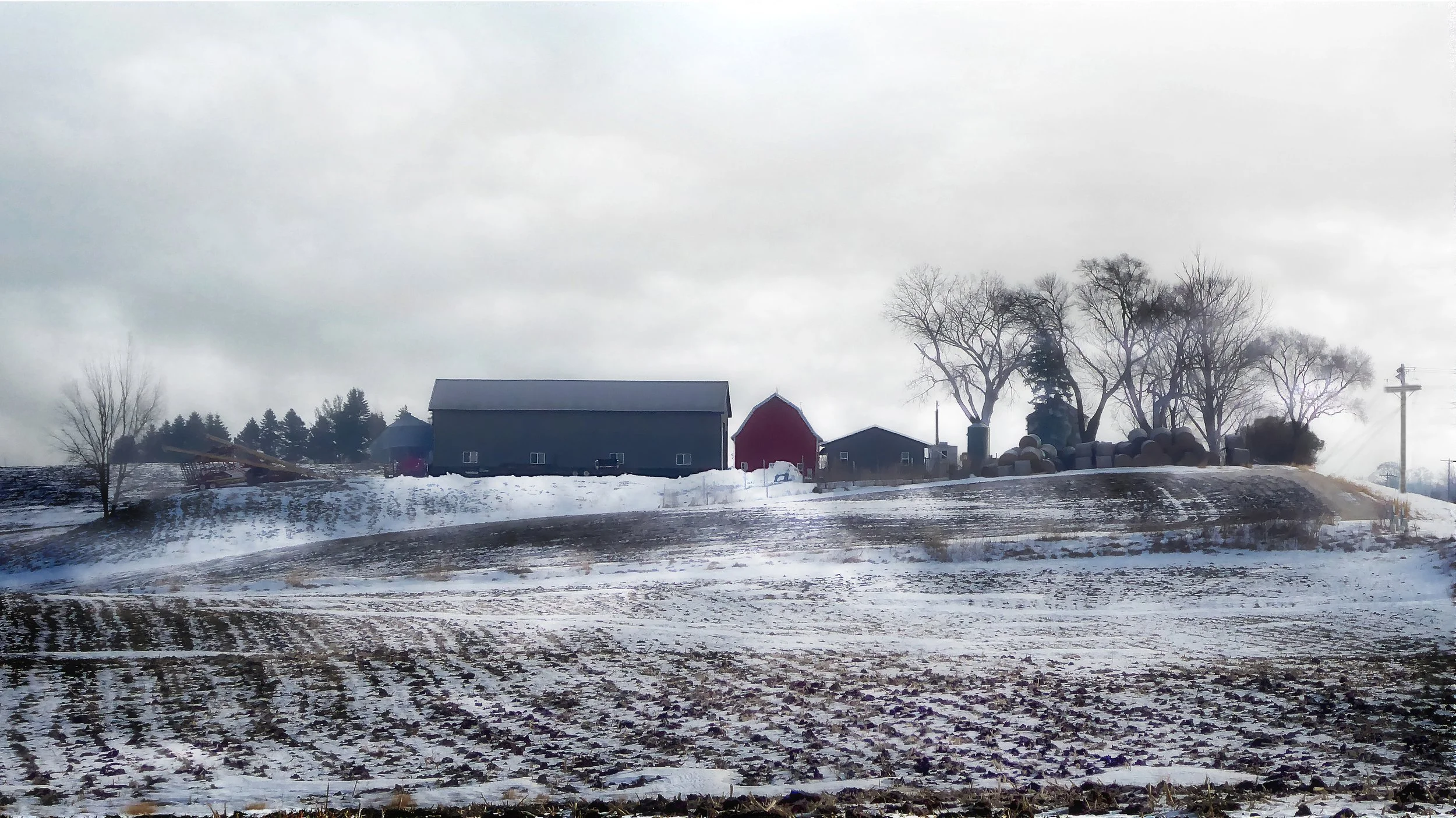 Winter's Fields