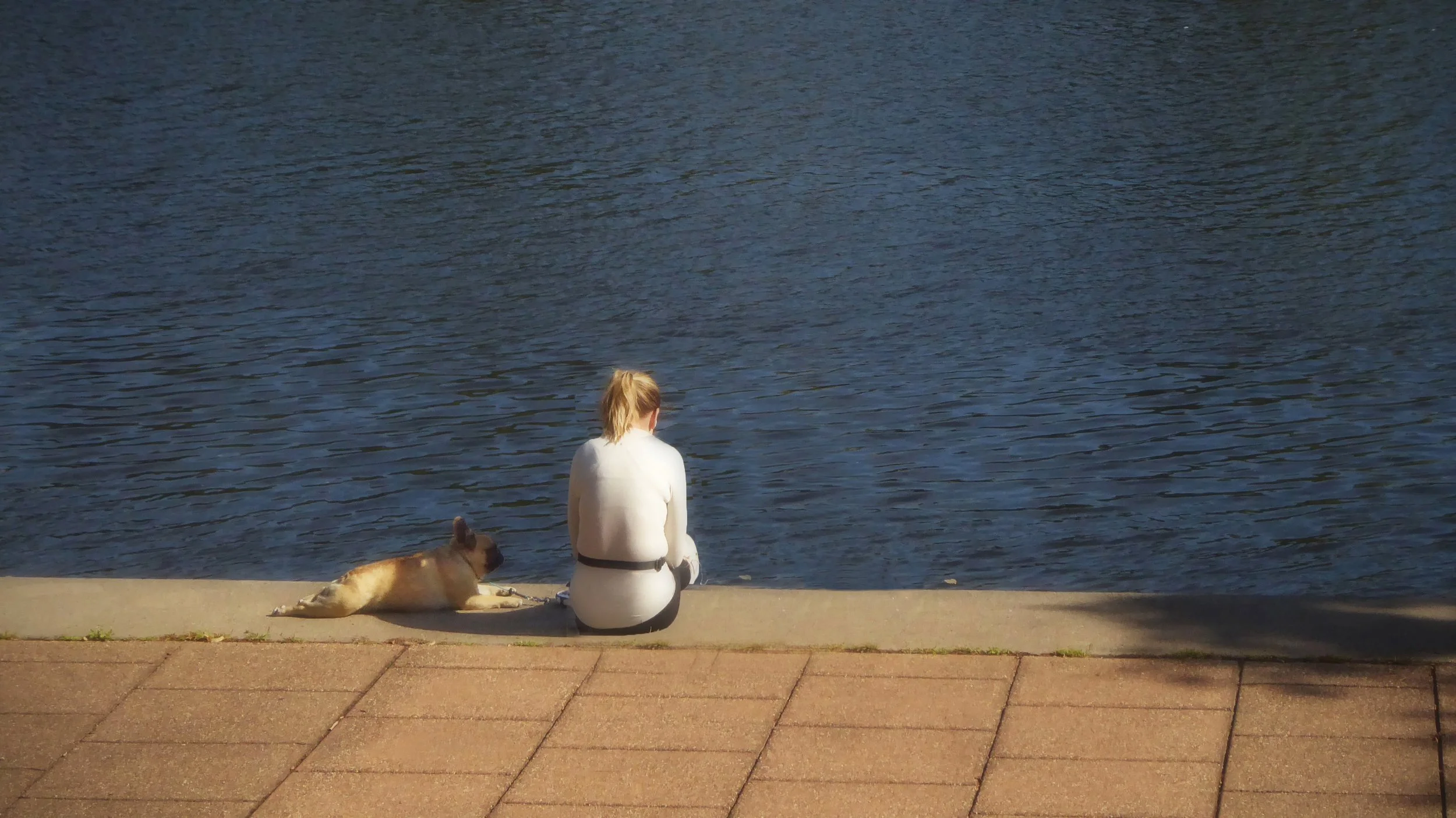 Companions