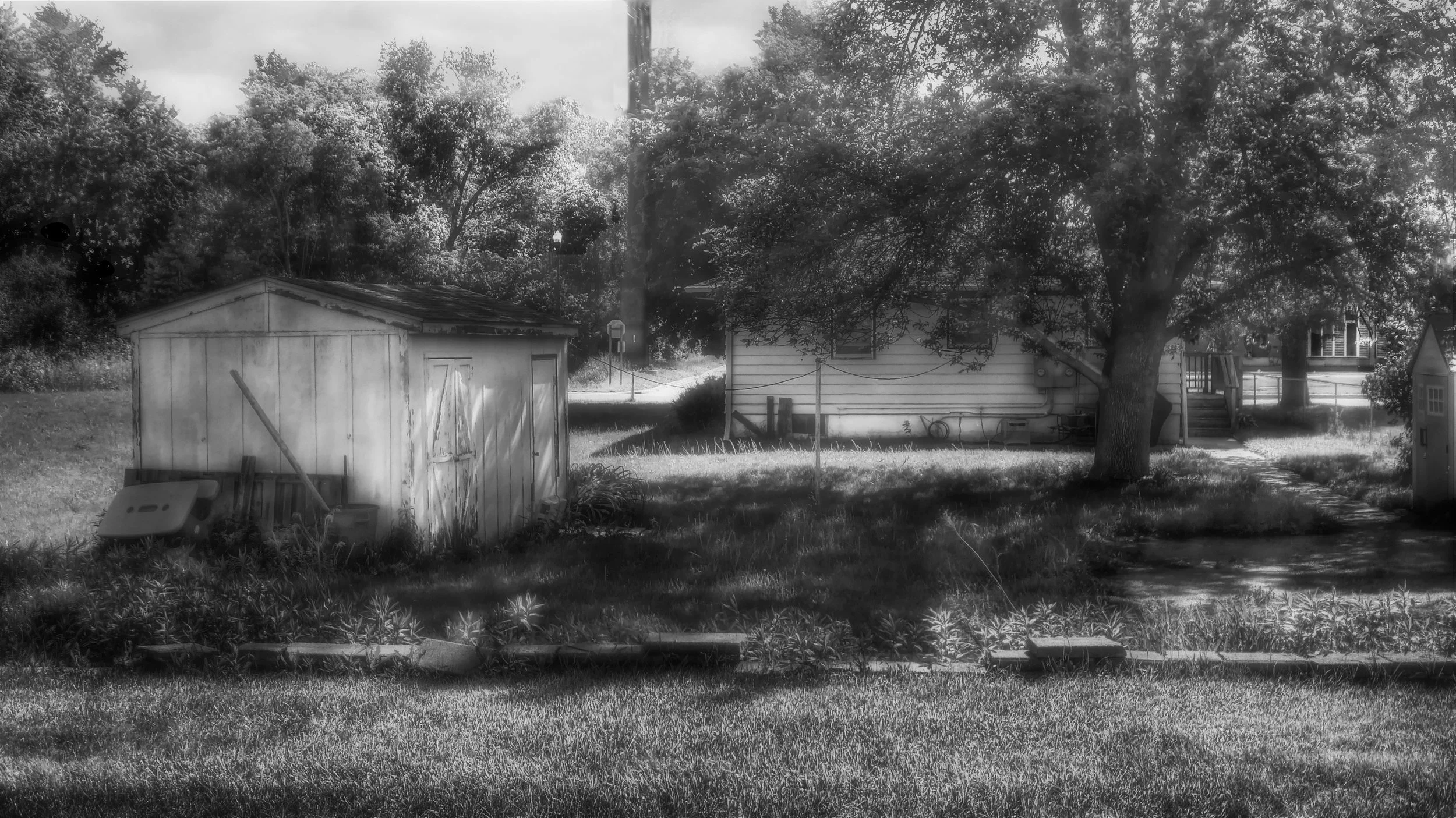 Summer Midday
