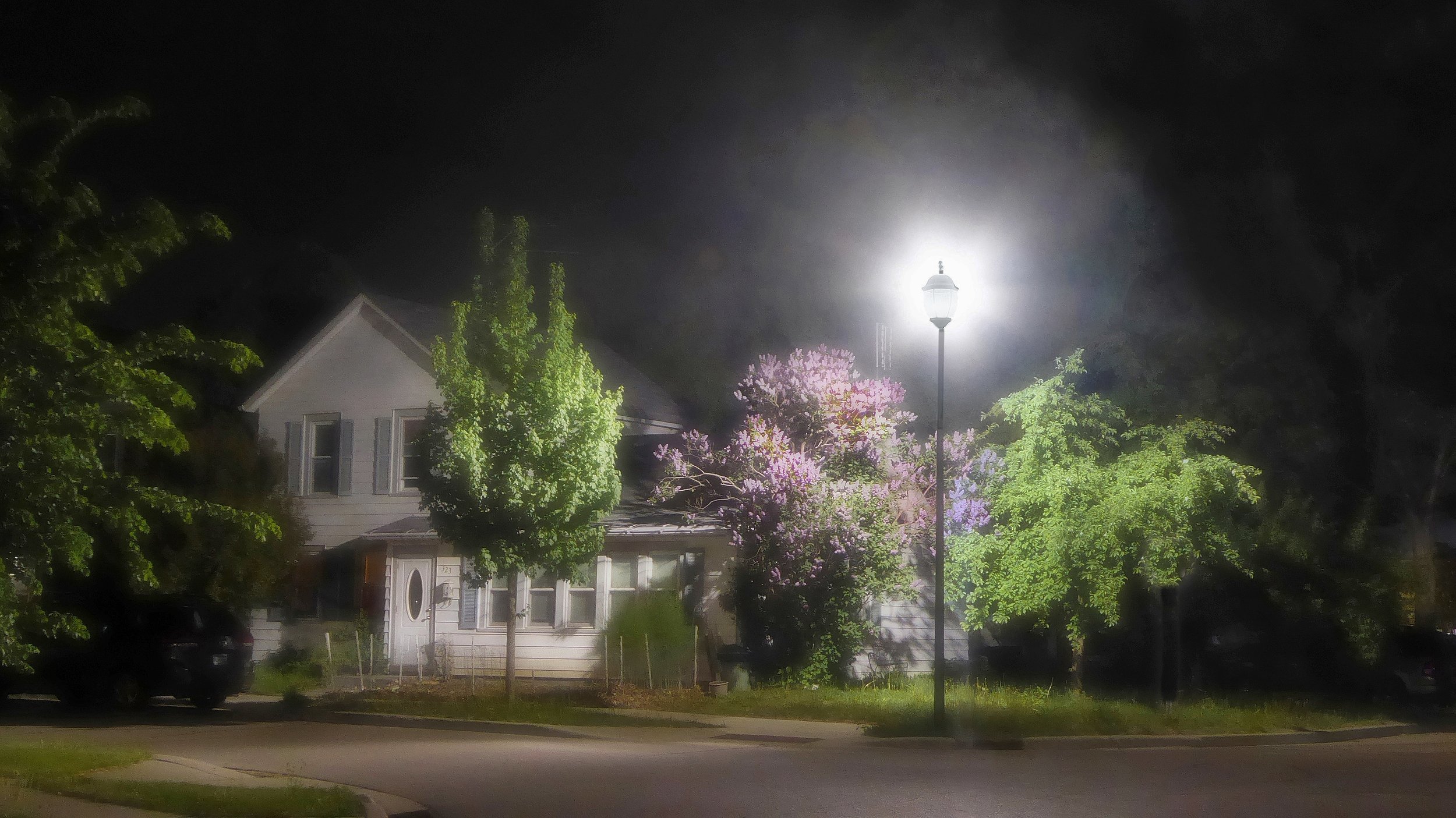 Spring Night 