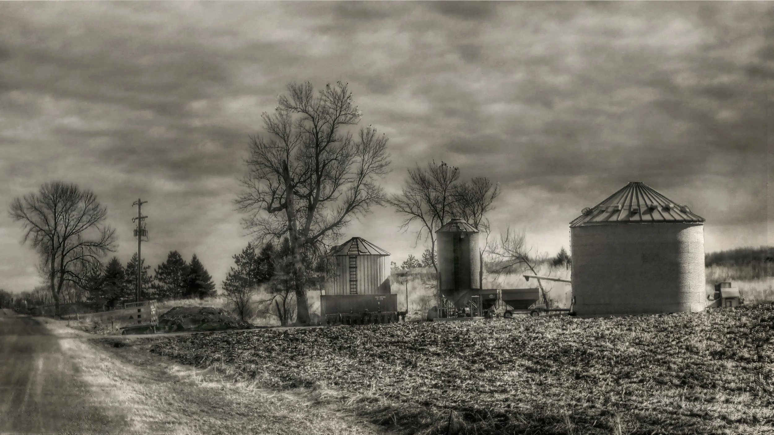 Down a Country Road