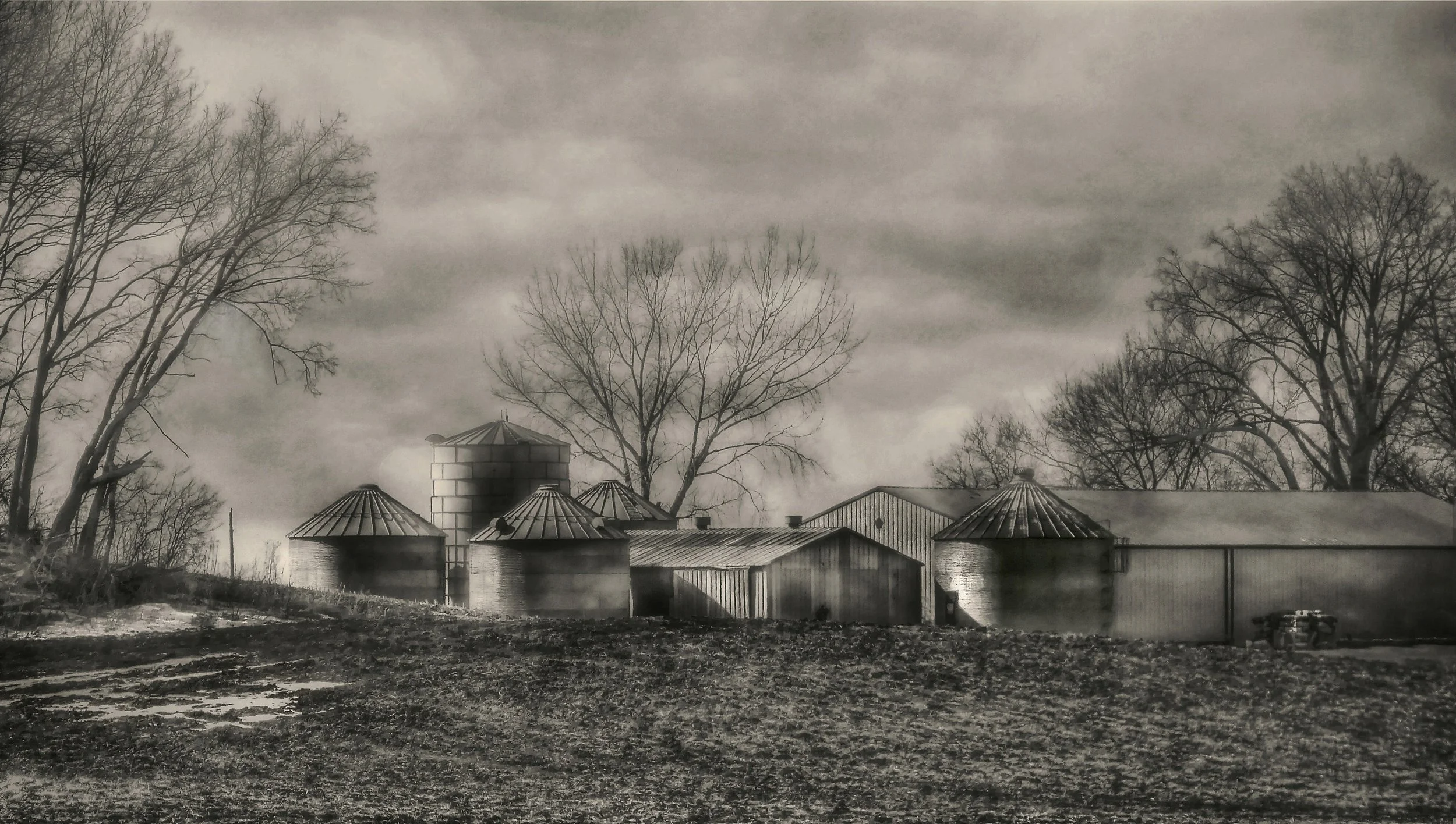 Country Skyline