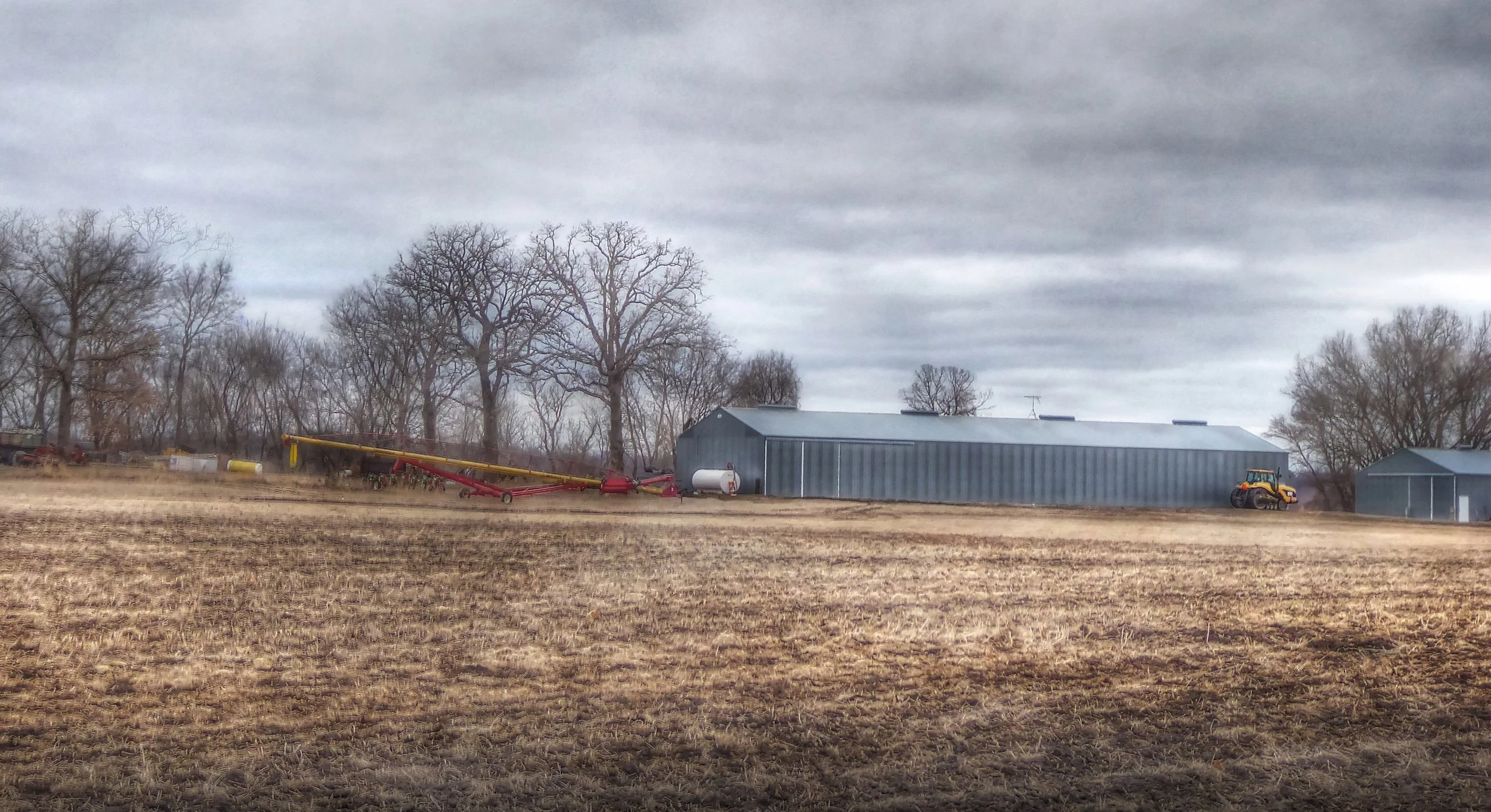 Early Spring Fields