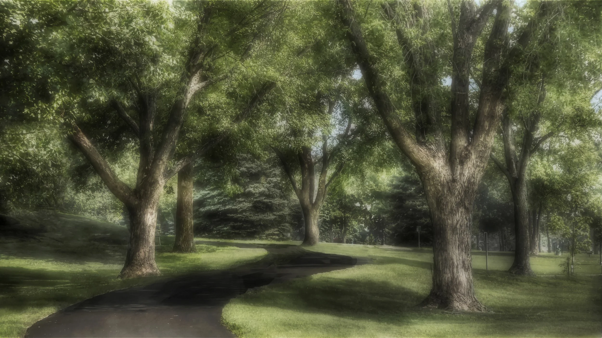 Pathway through Trees