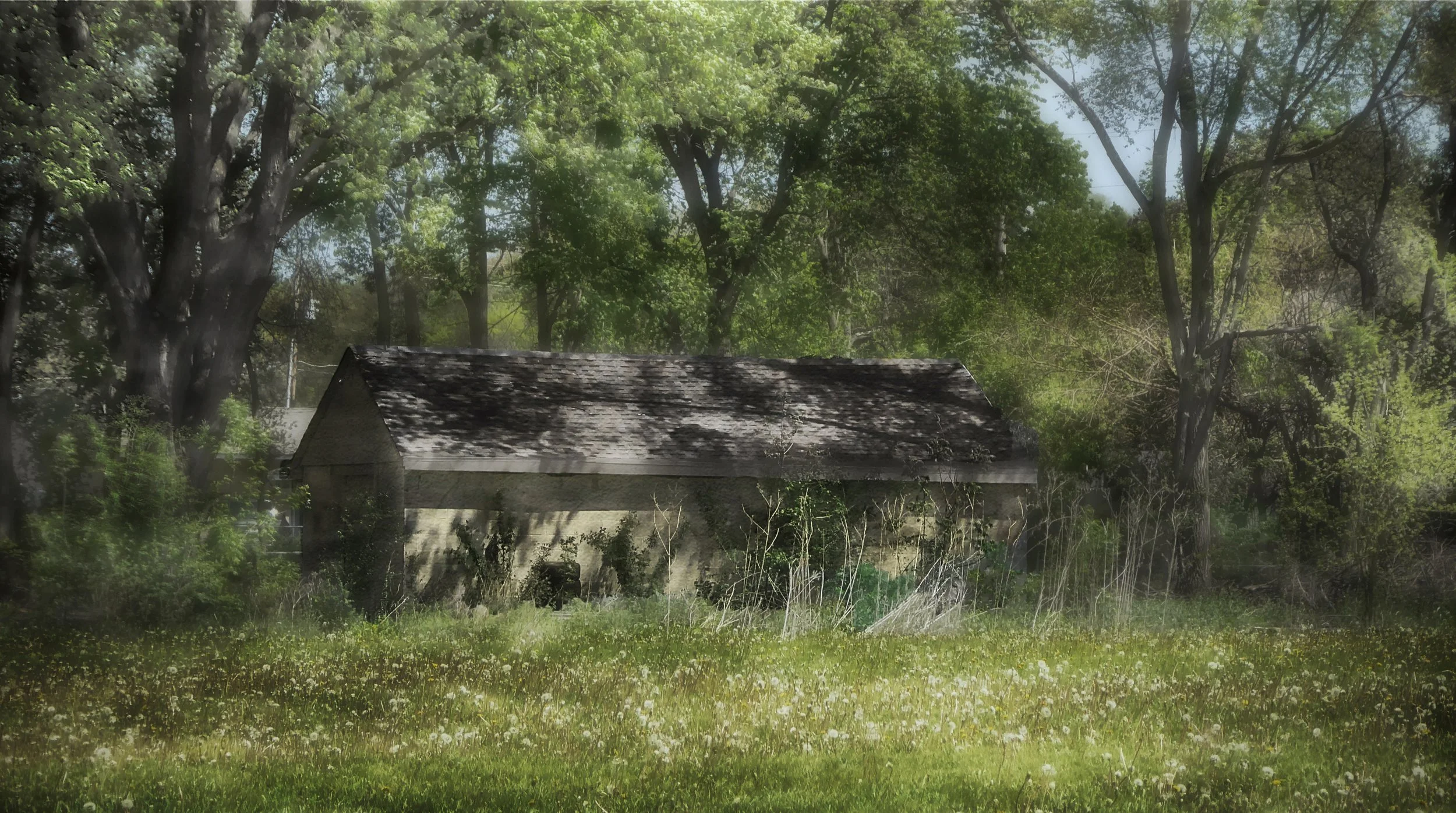 Vintage Outbuilding