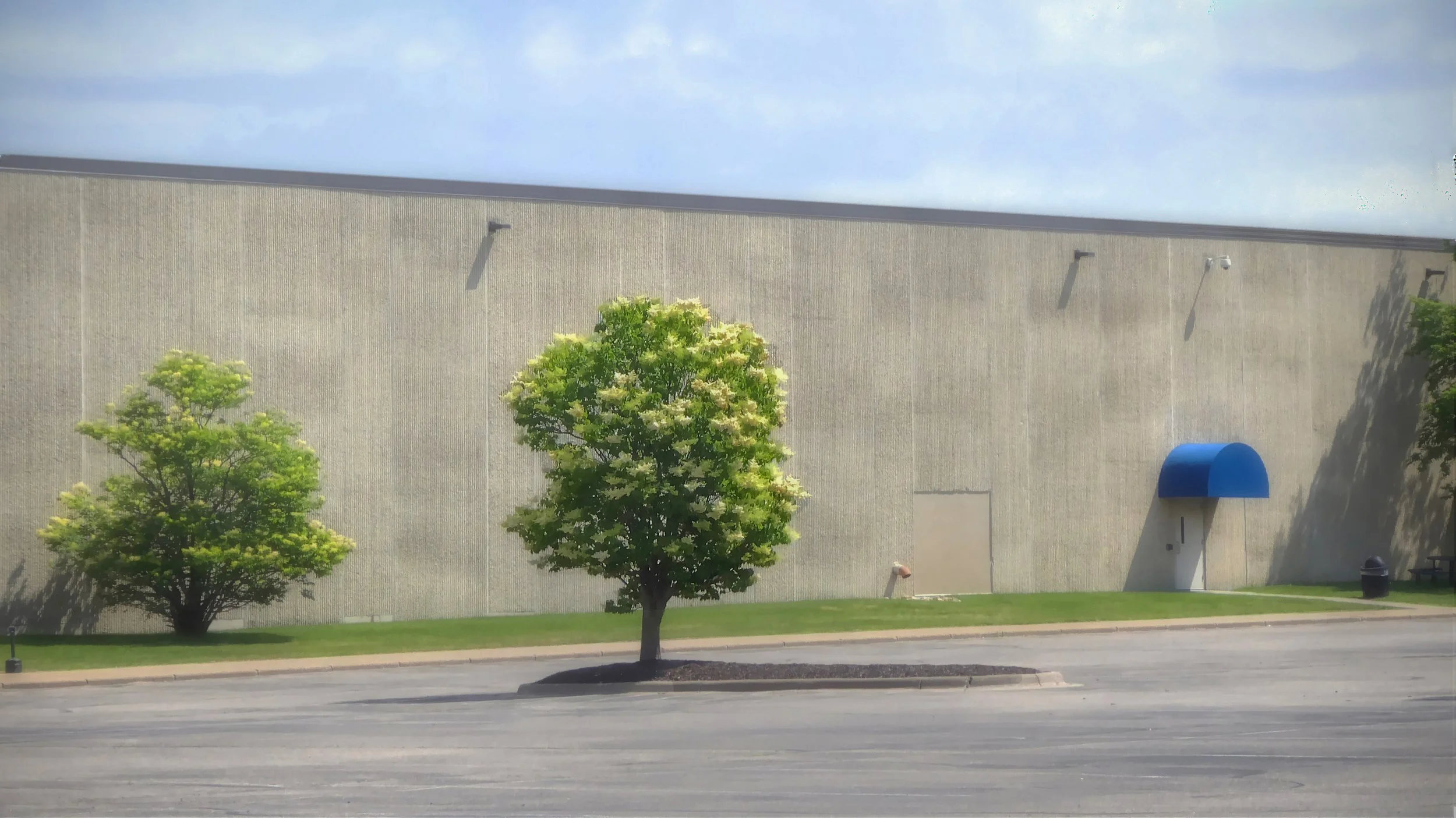 Corporate Landscape