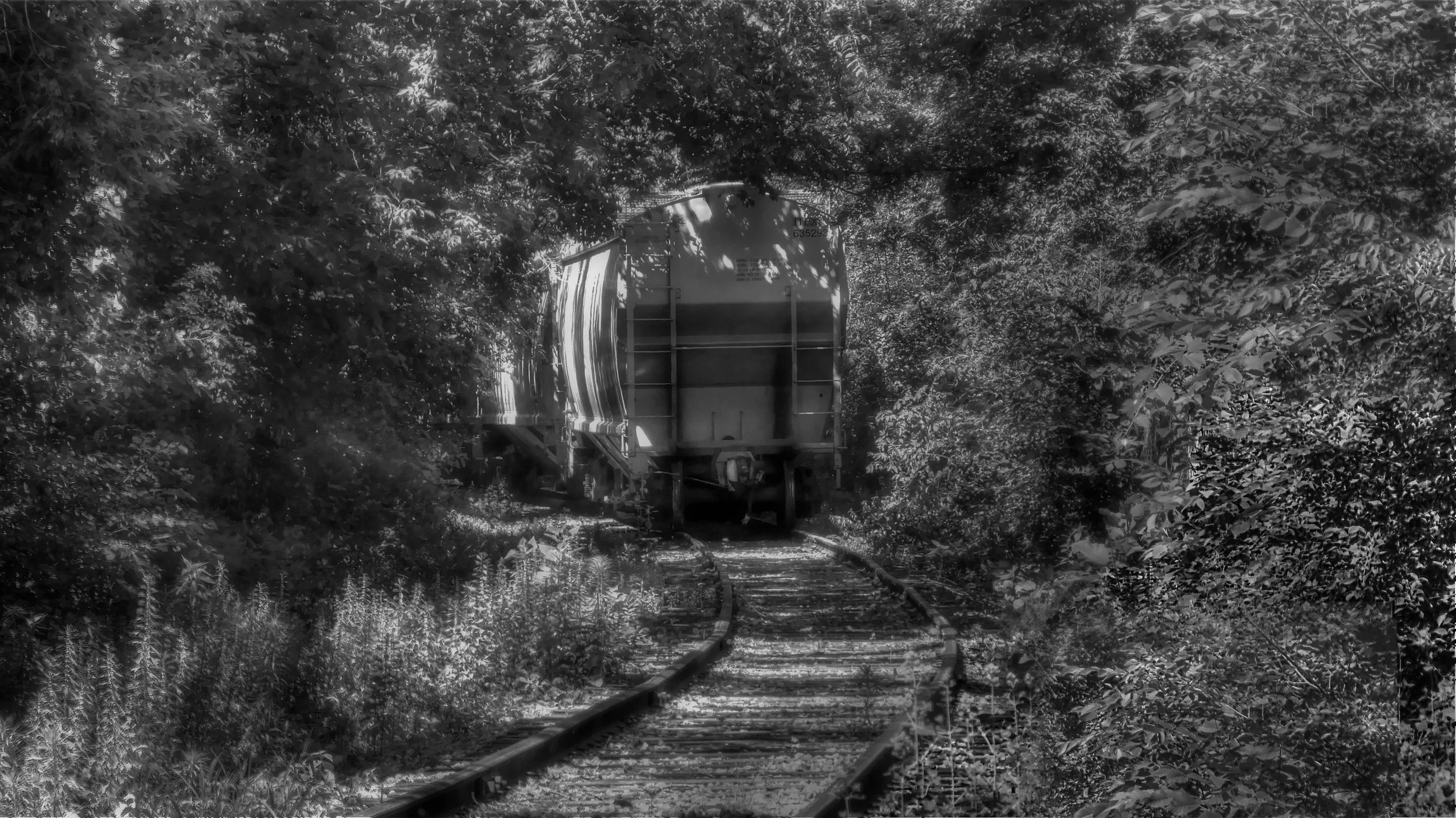 Abandoned Rail Car