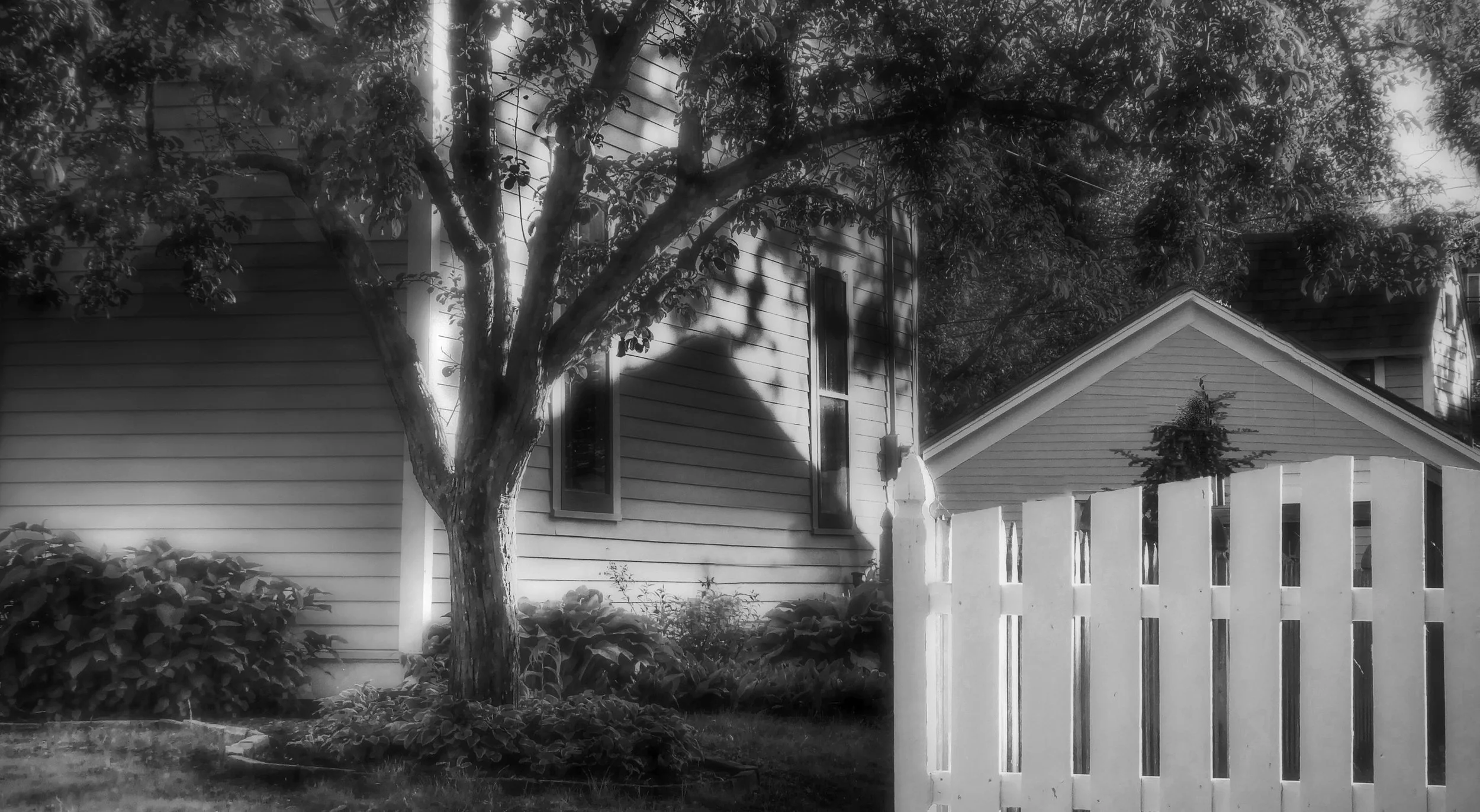 Evening Shadows