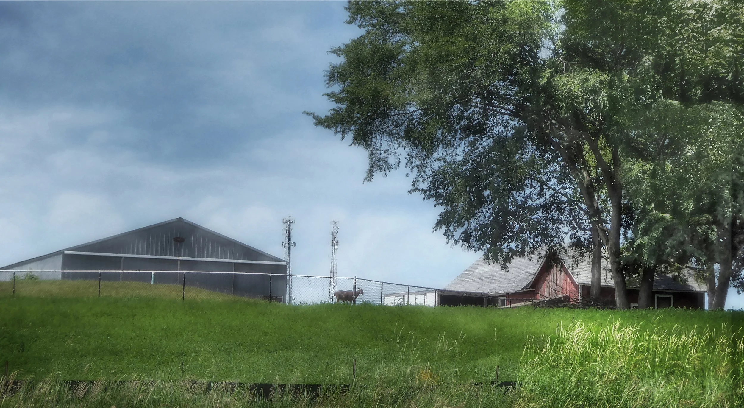 Country Days