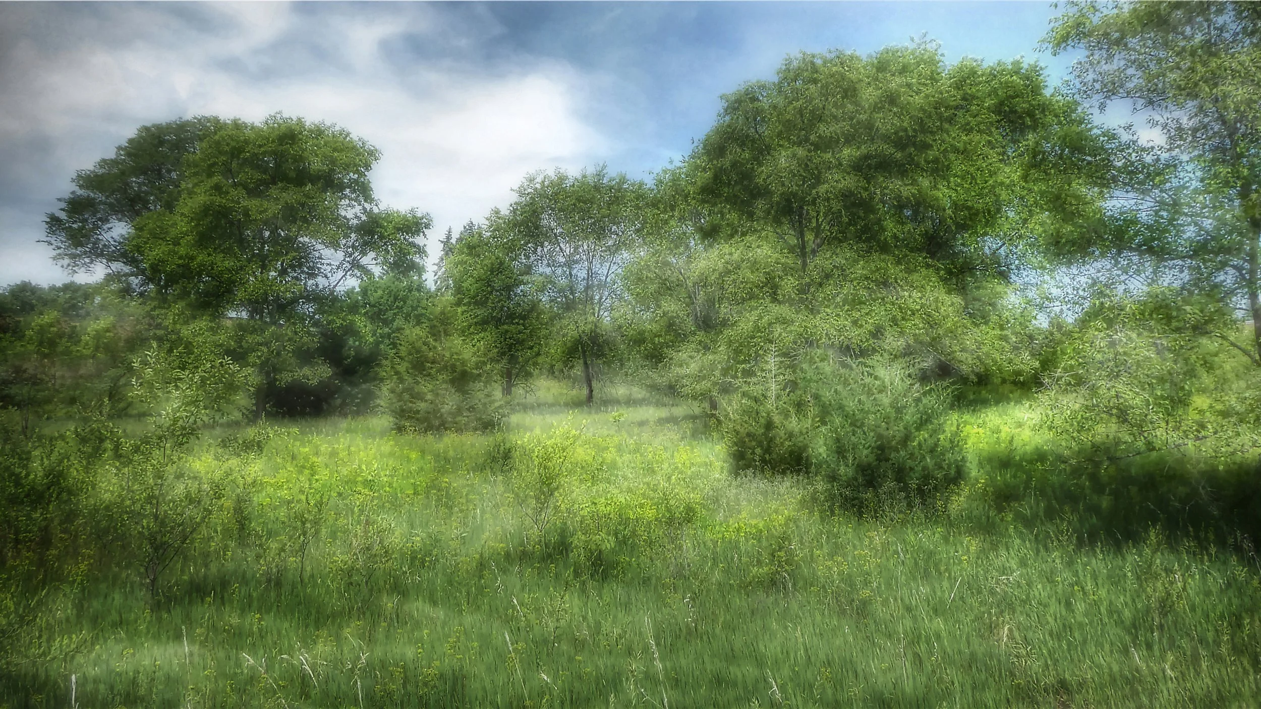 Summer Vista